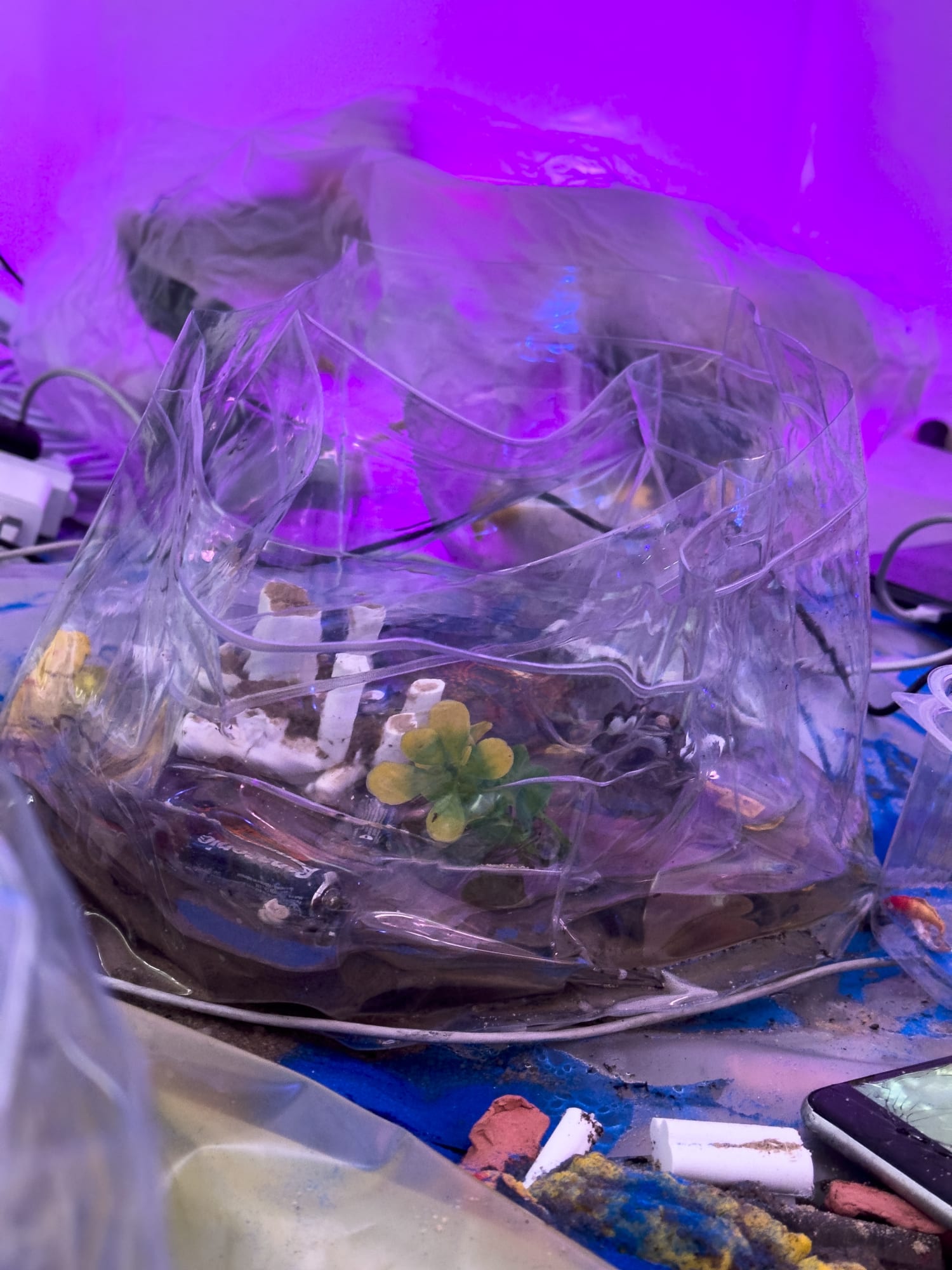 Spirits on the Ground