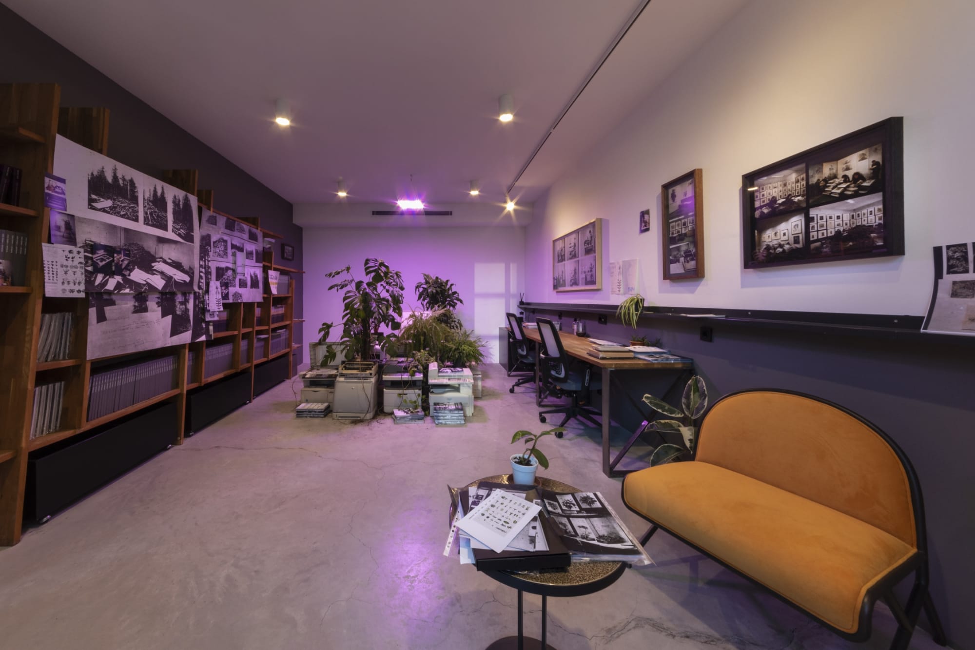 A bit of Unruly Complexity