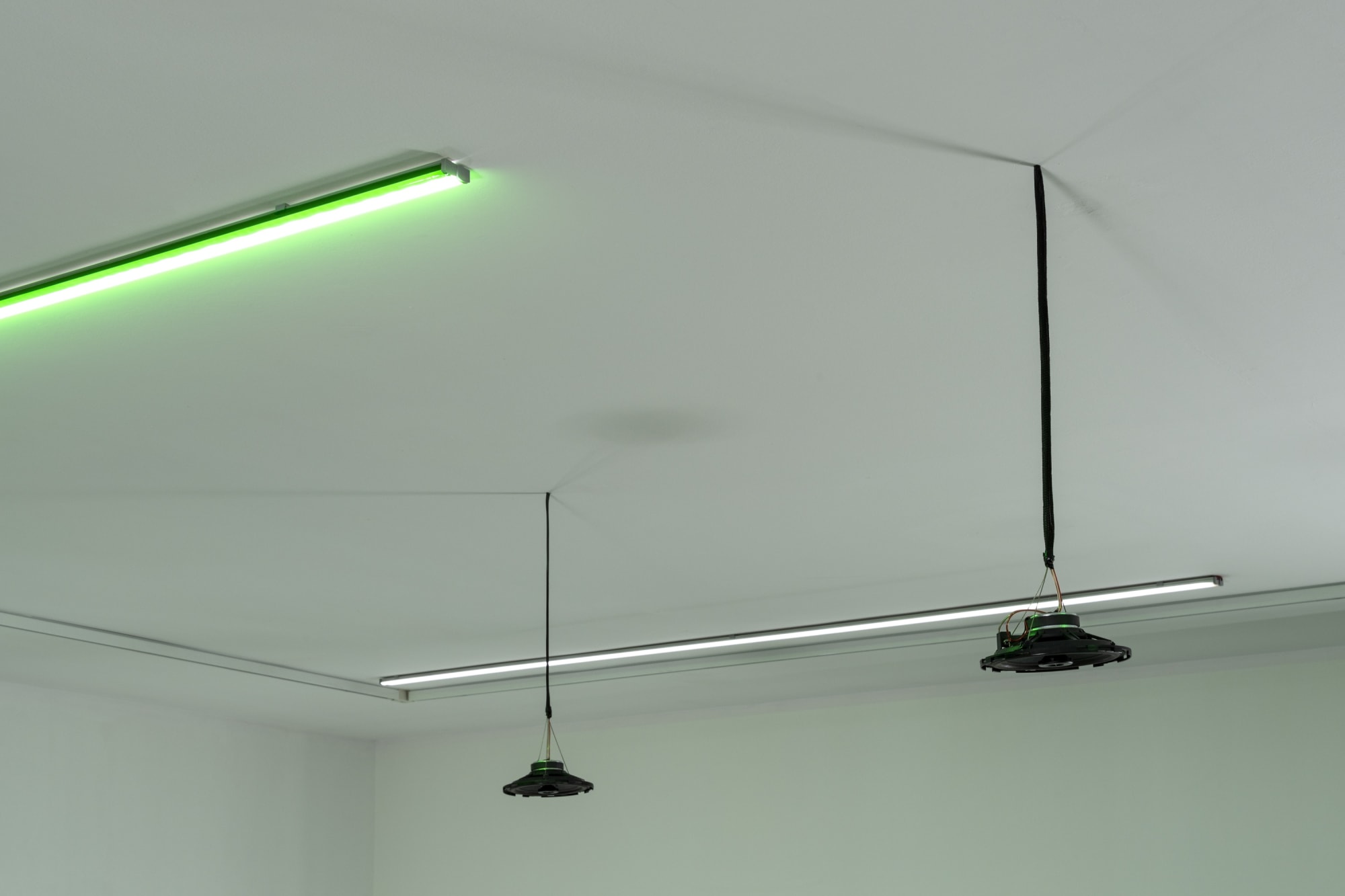 Trembling in Every Direction