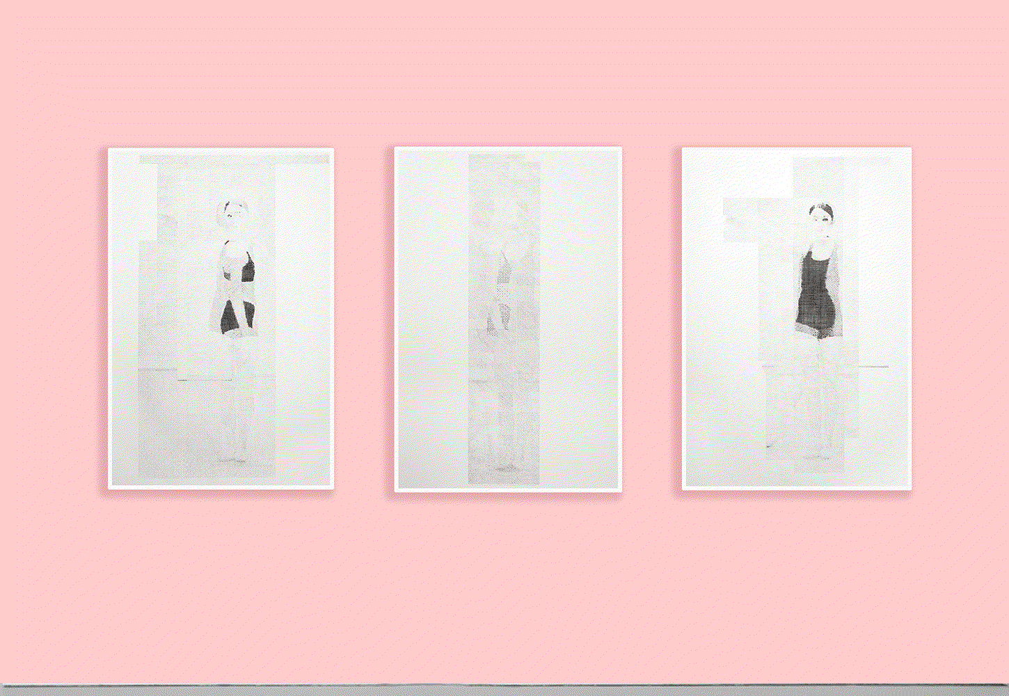 Fragments of a Hologram Rose