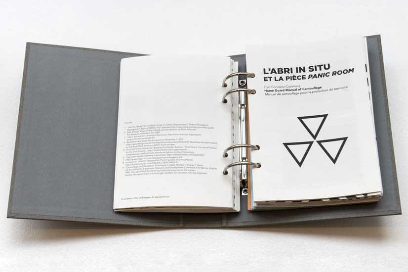 Fragments of a Hologram Rose