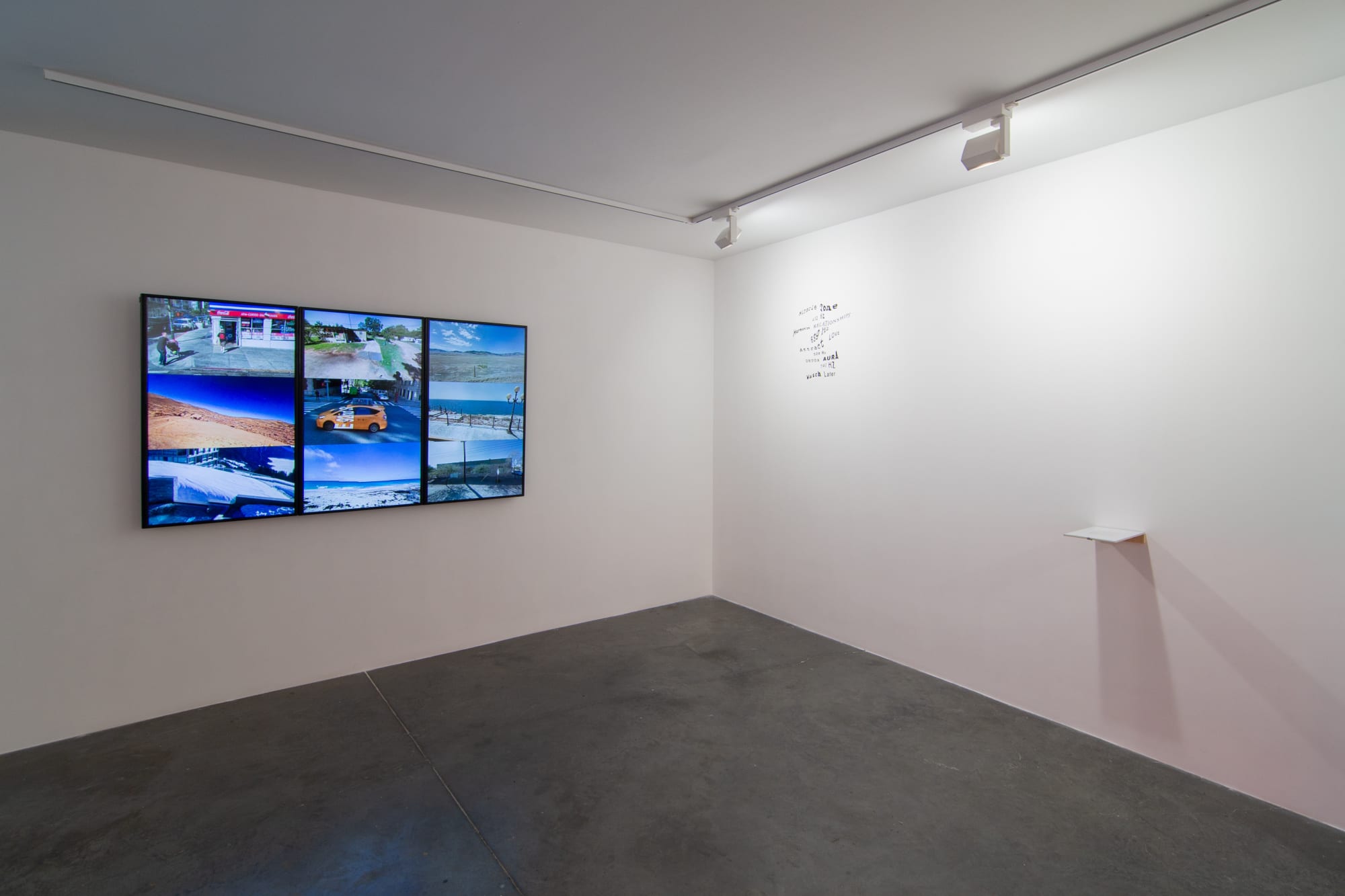 Fragments of a Hologram Rose