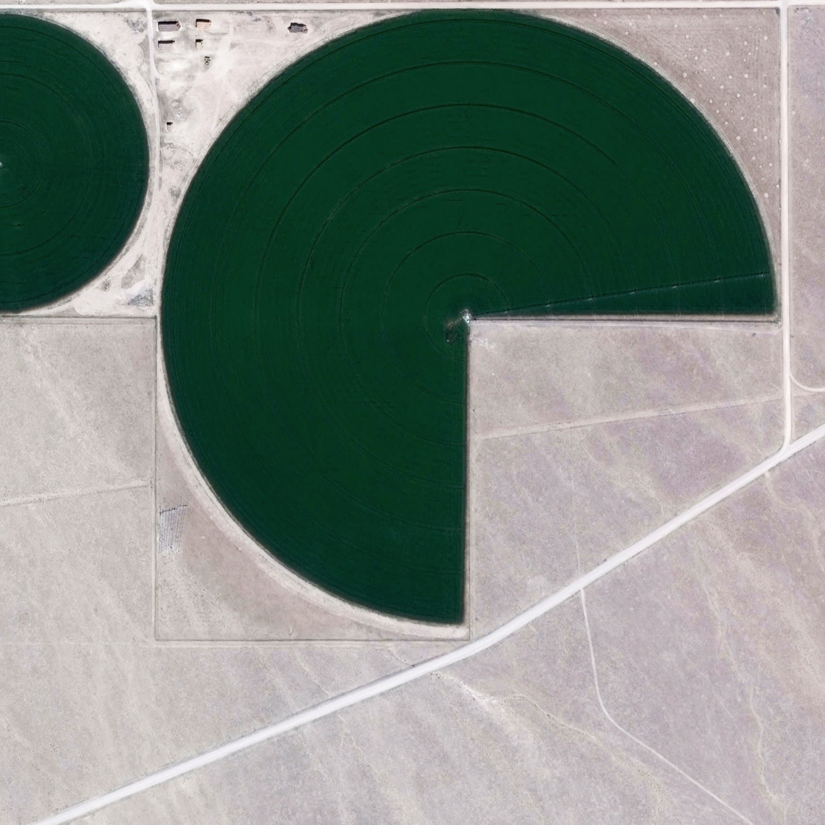 Chance and Necessity