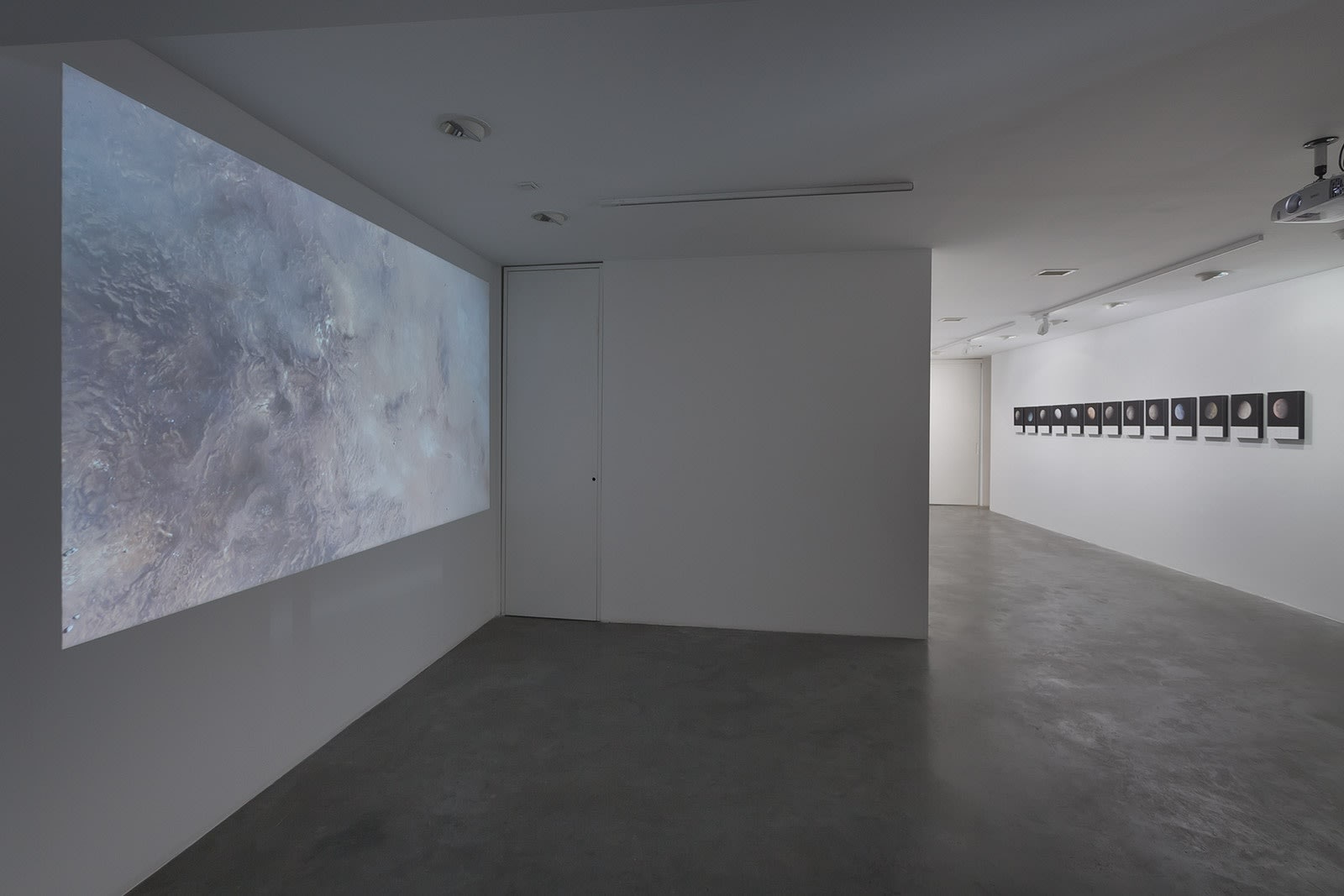 Chance and Necessity