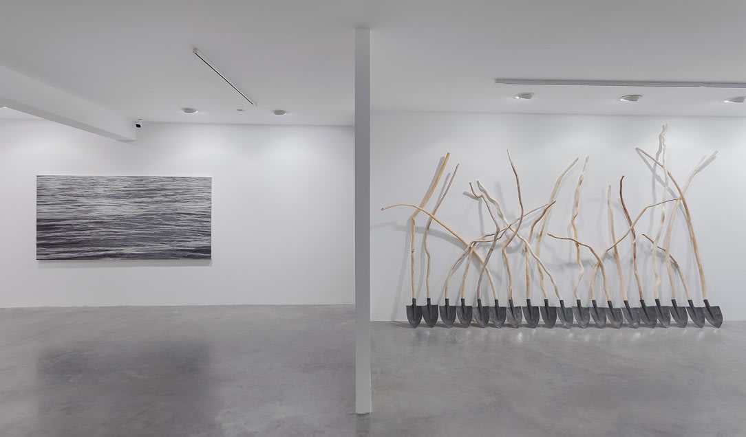 NATURE MORTE_salto mortale