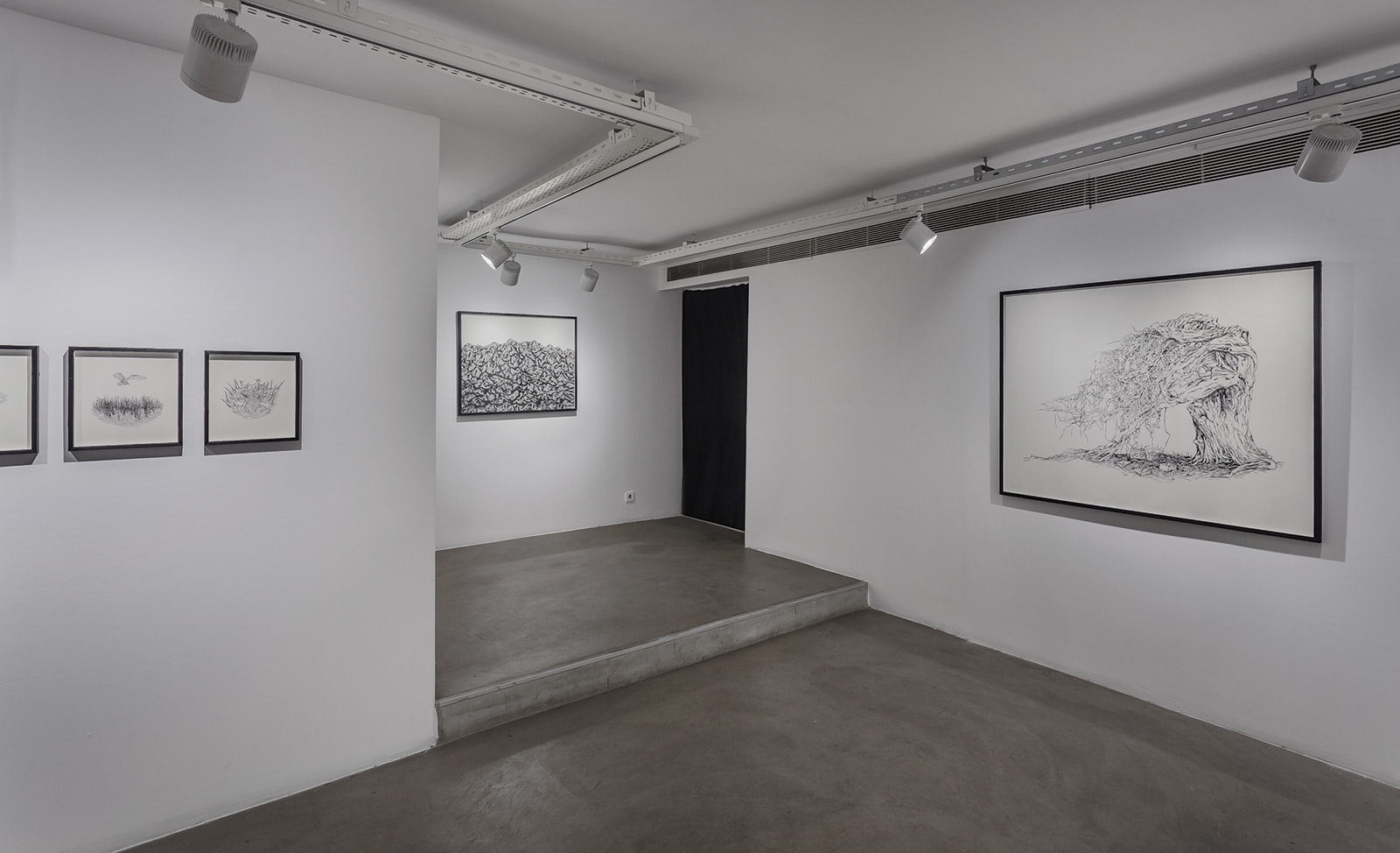 Everything I Once Had That Was Fluid Turned Solid In My Dream Last Night