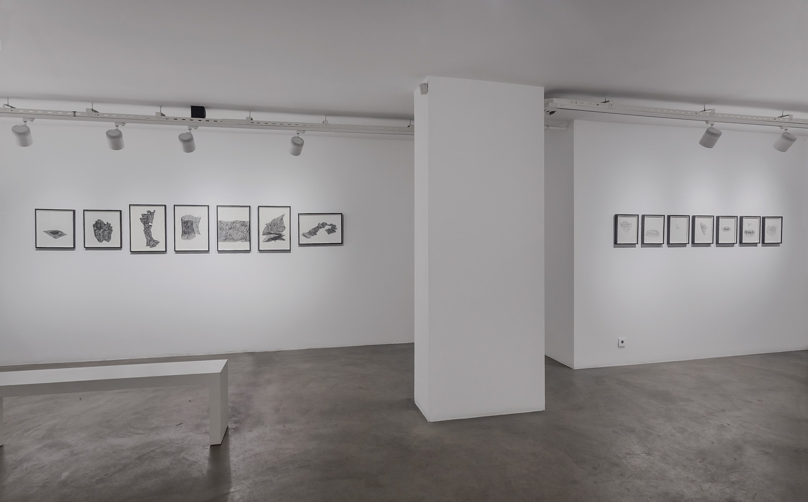 Everything I Once Had That Was Fluid Turned Solid In My Dream Last Night