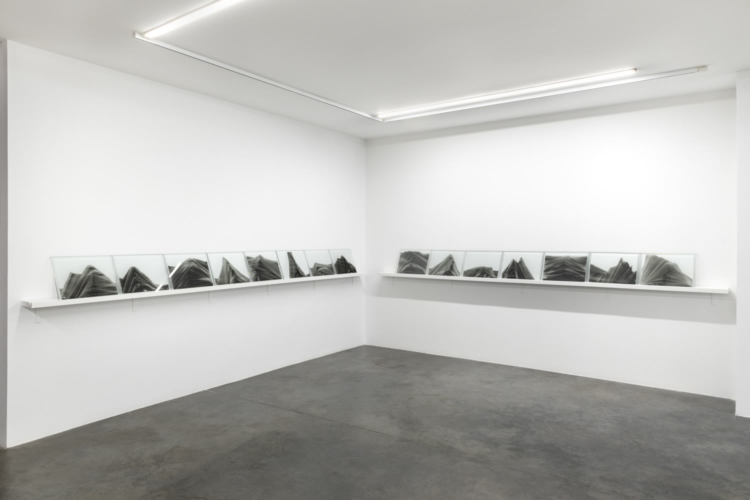 They Were Just Constantly Flying In Circles