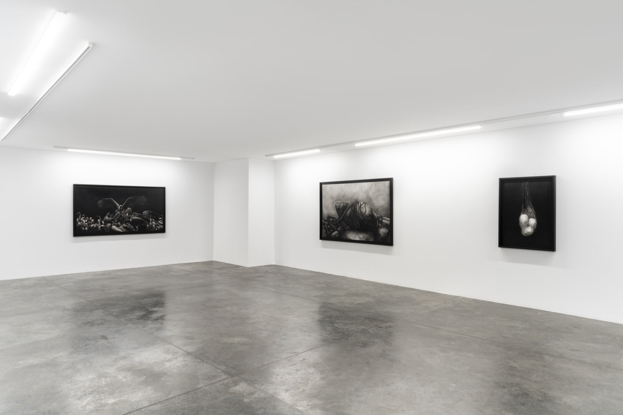 Silhouettes of Power