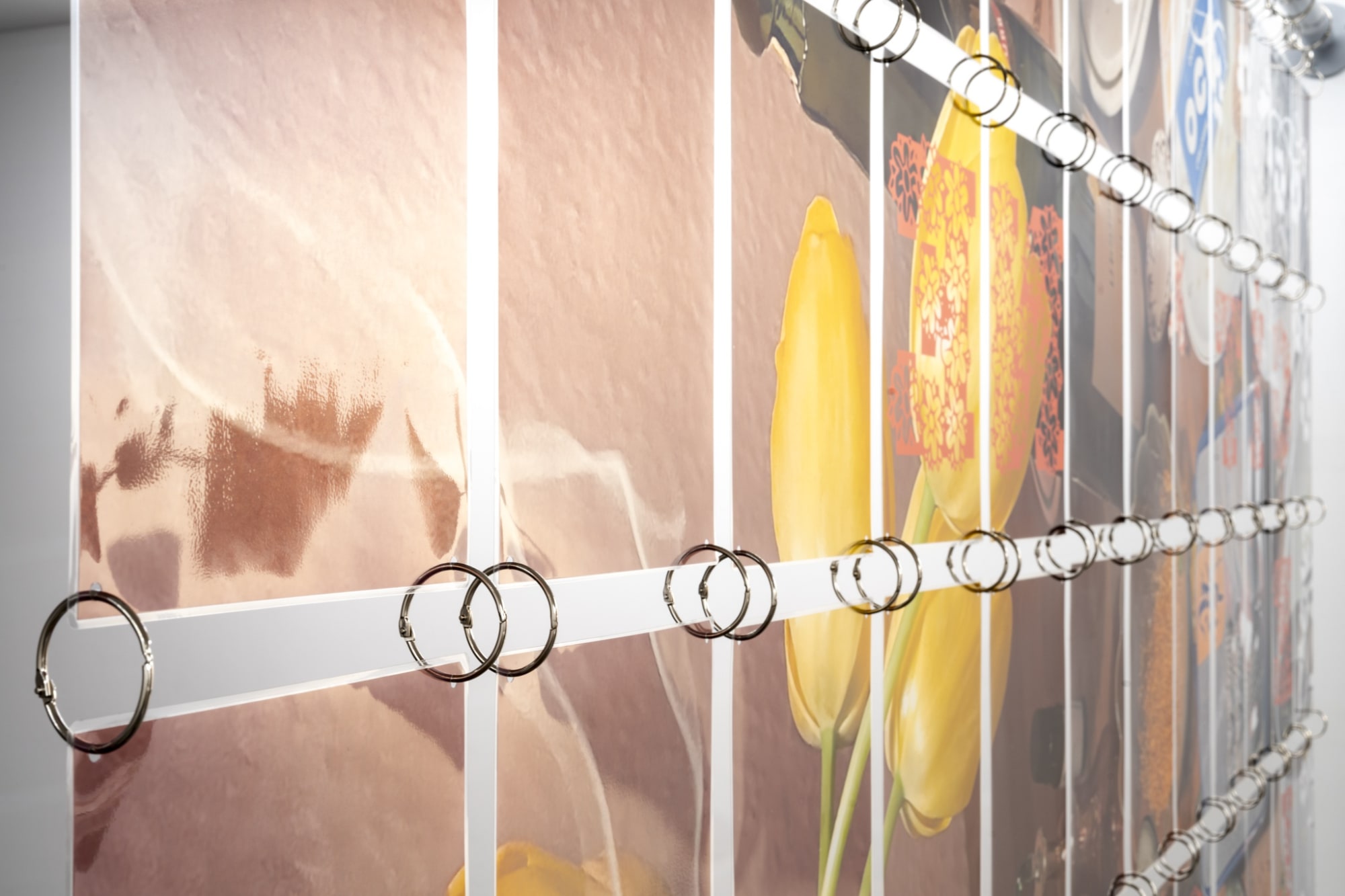 A Crack We Sprout Through