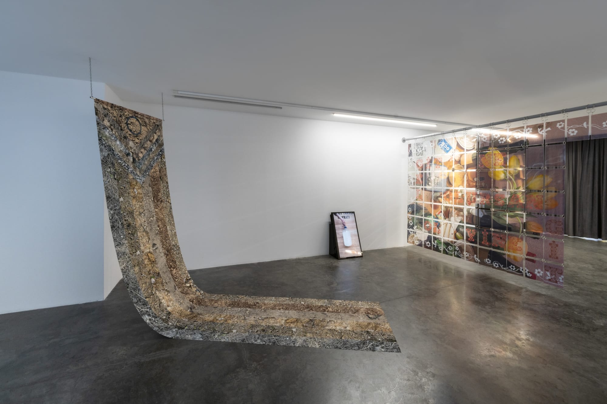 A Crack We Sprout Through