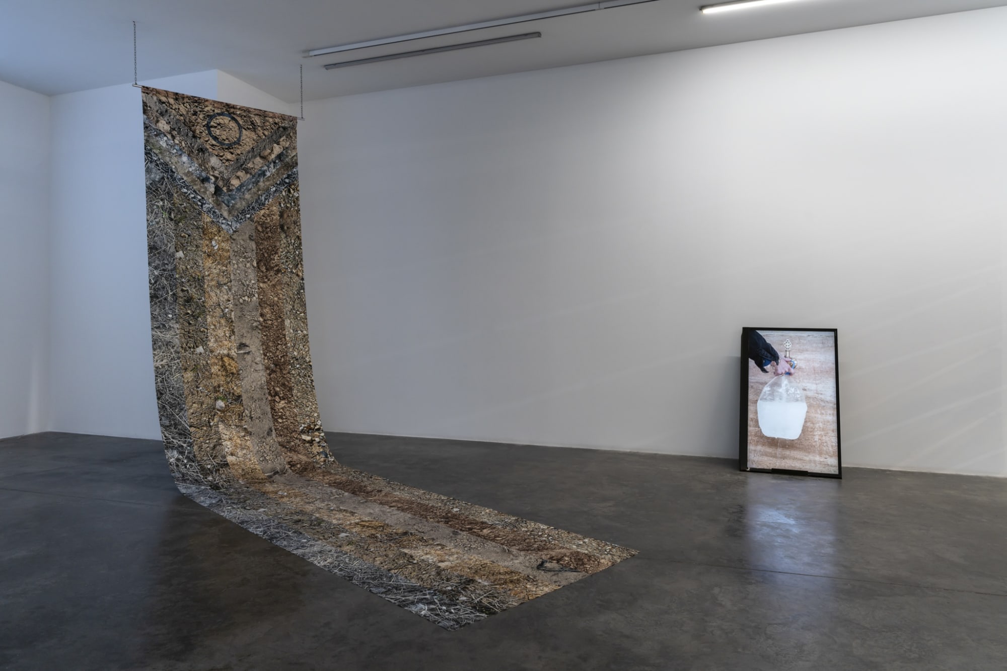 A Crack We Sprout Through