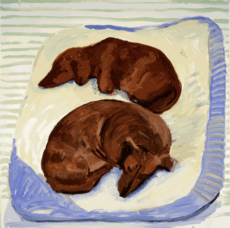 Dog Painting 3, 1994 Oil on canvas 24" x 24" Images Courtesy of The David Hockney Foundation &copy;David Hockney