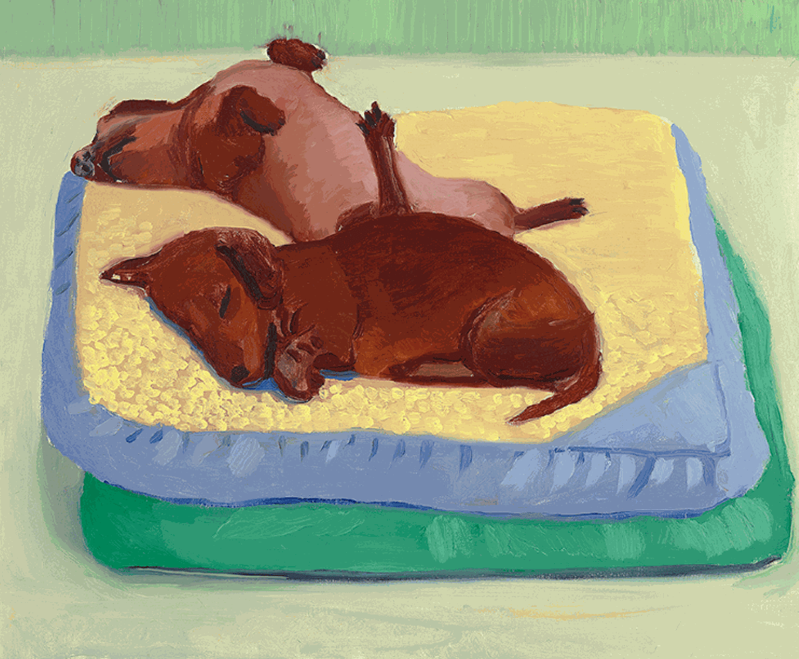 Dog Painting 12, 1995 Oil on canvas 21" x 25"