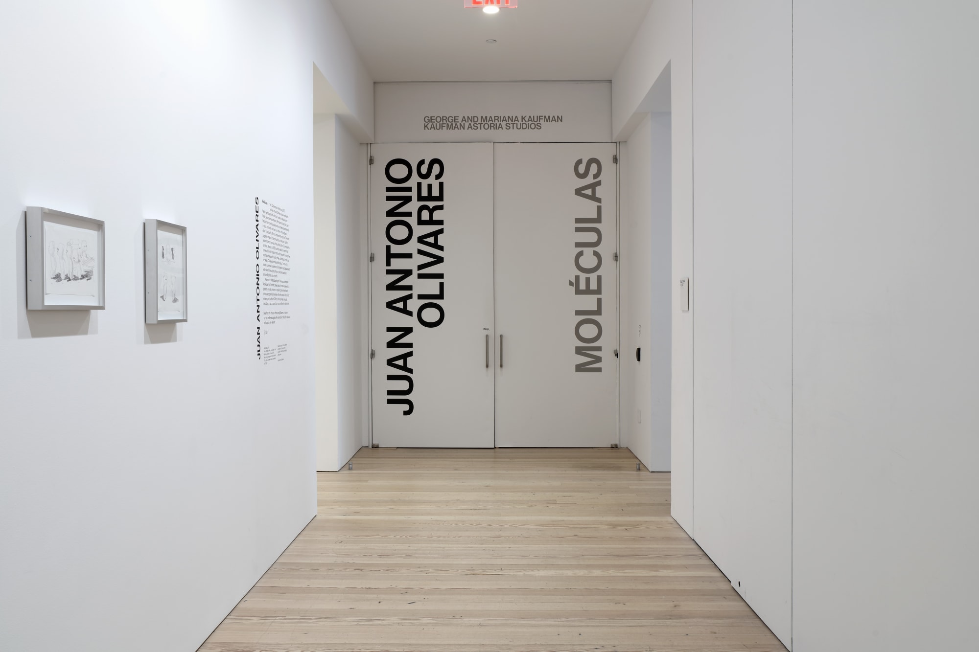 Moléculas | Whitney Museum of American Art