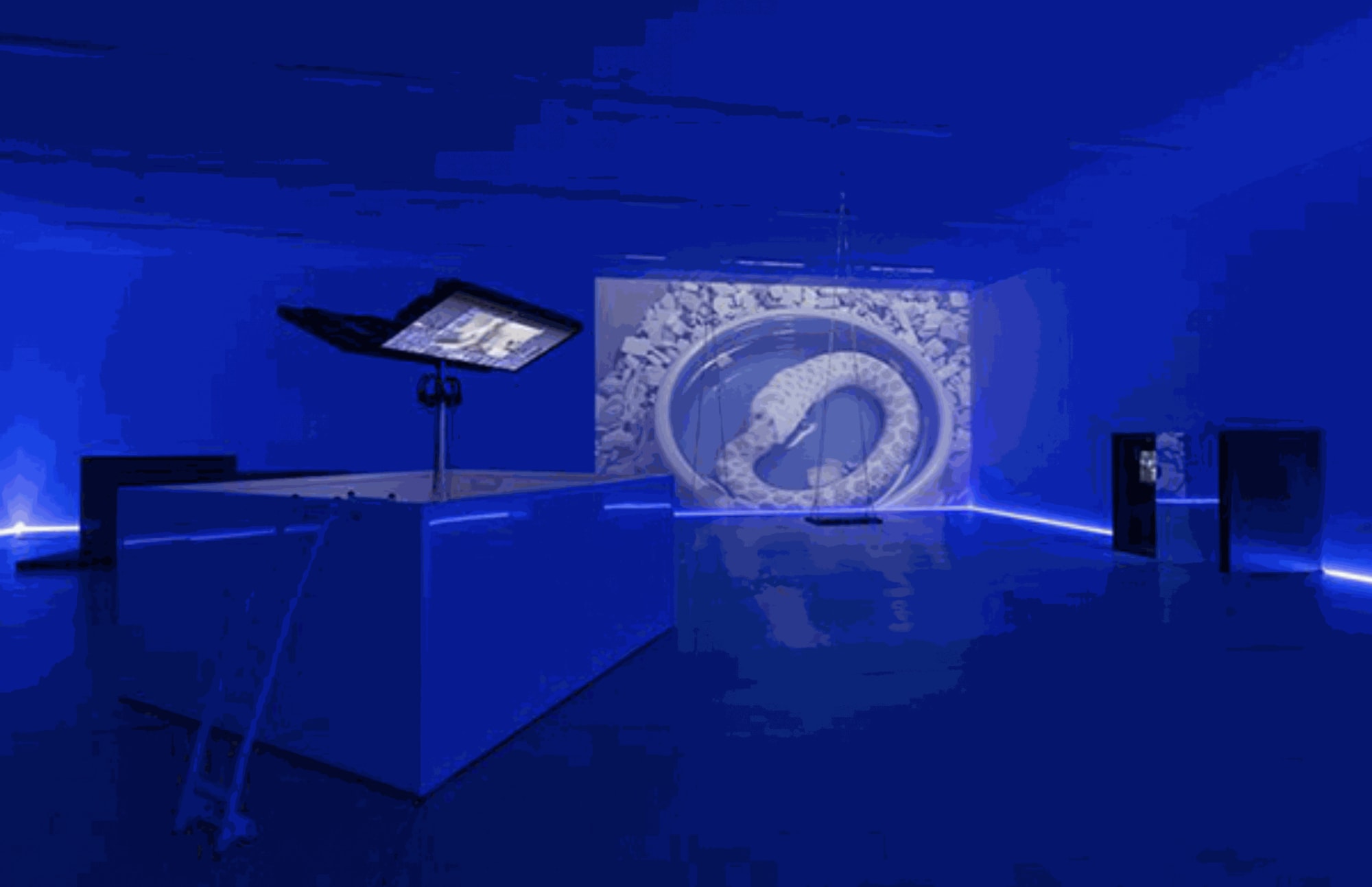 I HAVE TEN THOUSAND COMPOUND EYES AND EACH IS NAMED SUFFERING | Stedelijk Museum