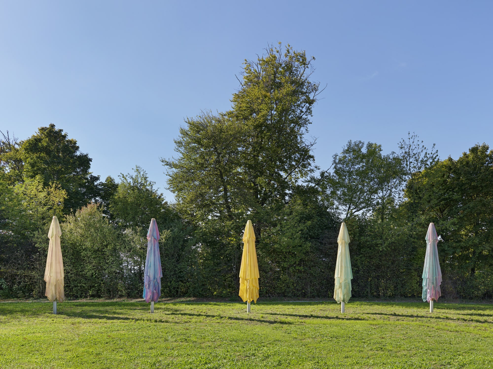 Carambolages enchantés