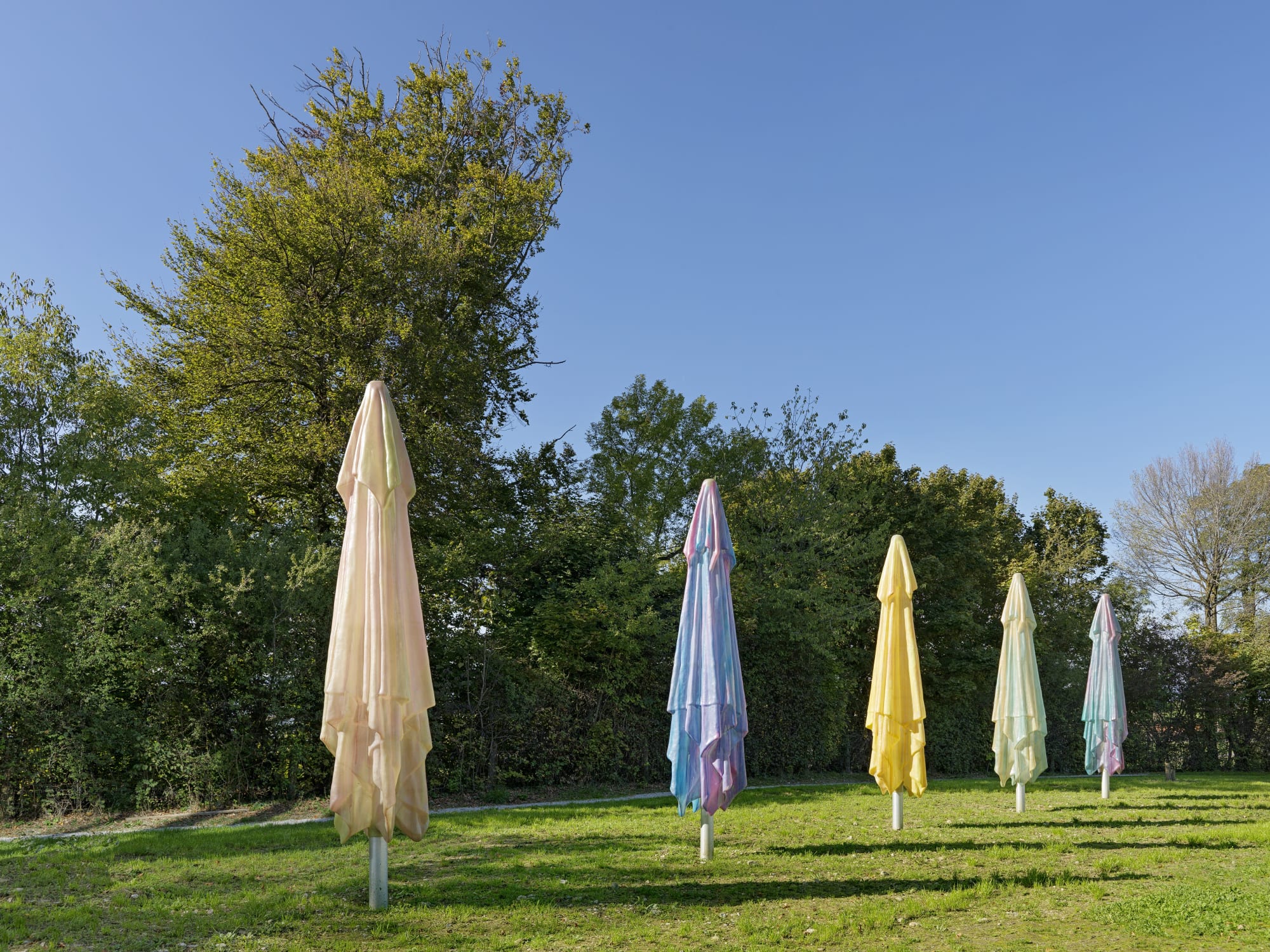 Carambolages enchantés