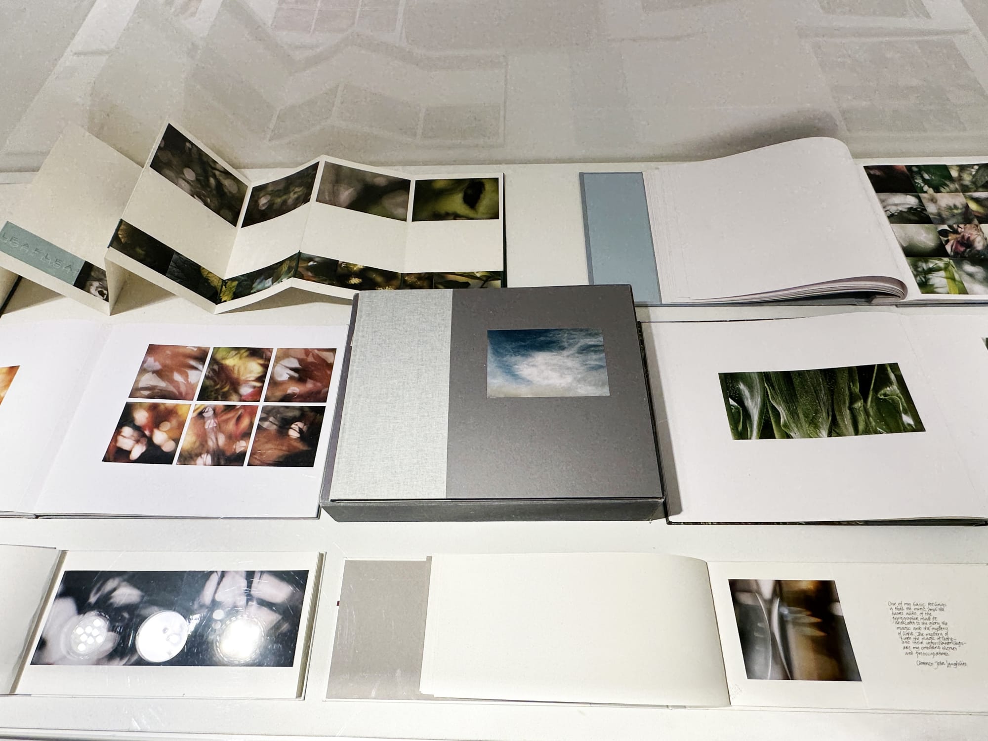 John Blakemore. Seduced by Light.