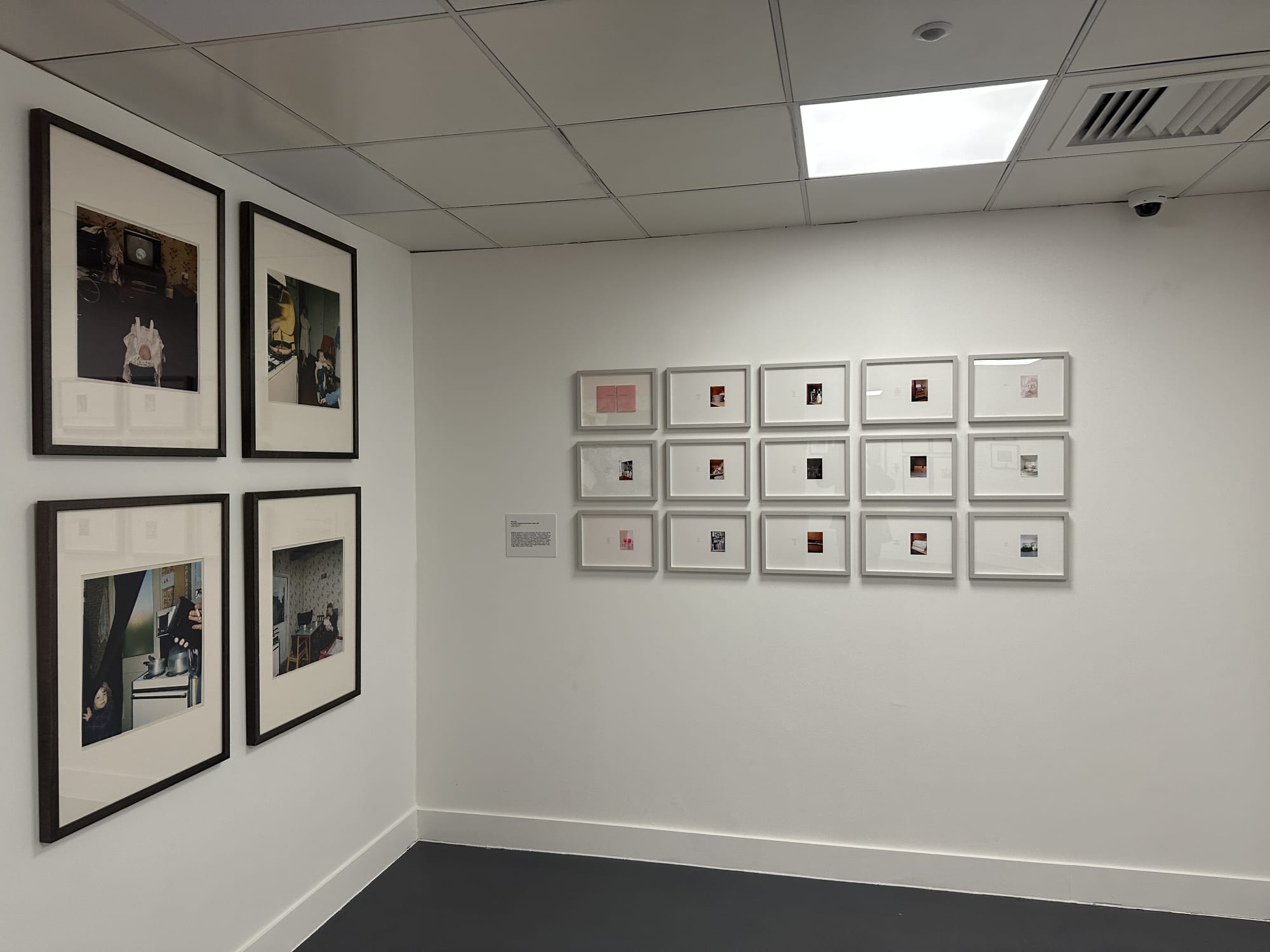 The English at Home. 20th Century Photographs from the Hyman Collection