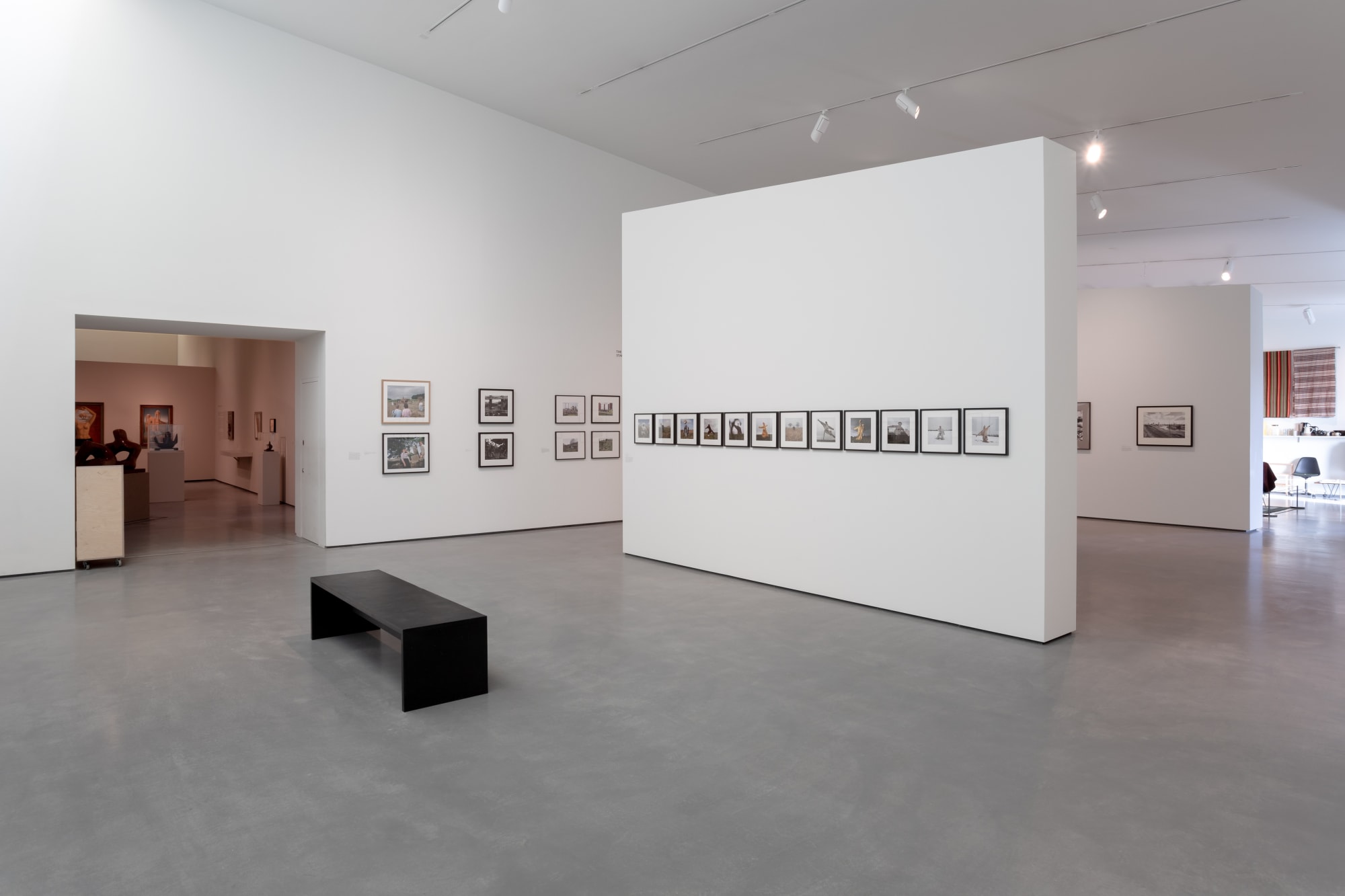 Modern Nature. Photographs from the Hyman Collection