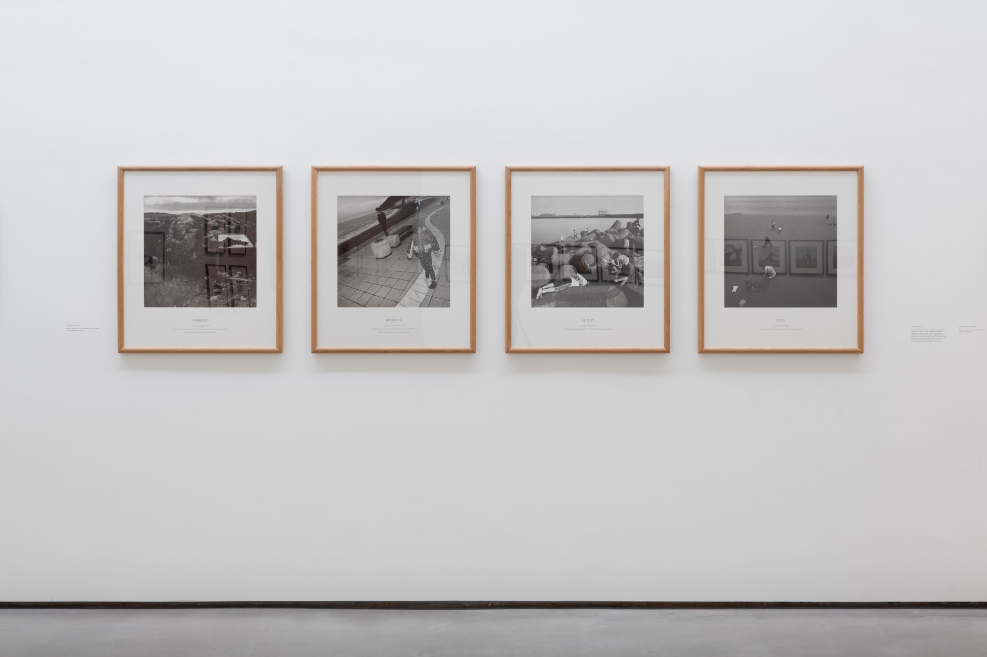 Modern Nature. Photographs from the Hyman Collection