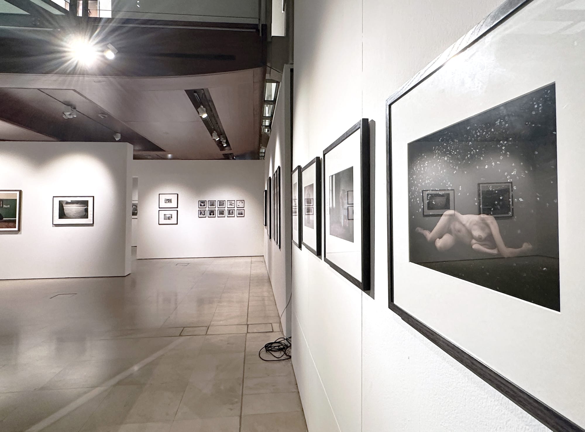 Writing her own Script. Women Photographs from the Hyman Collection
