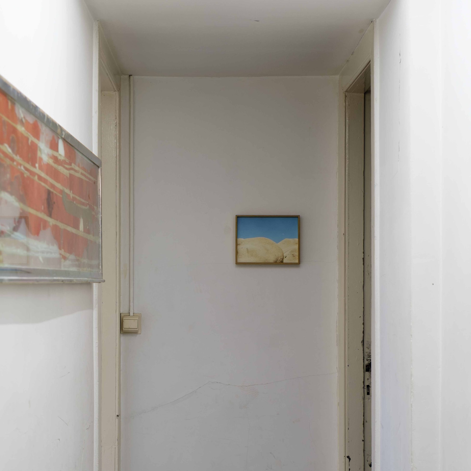 Jana Coorevits Flank (2020)