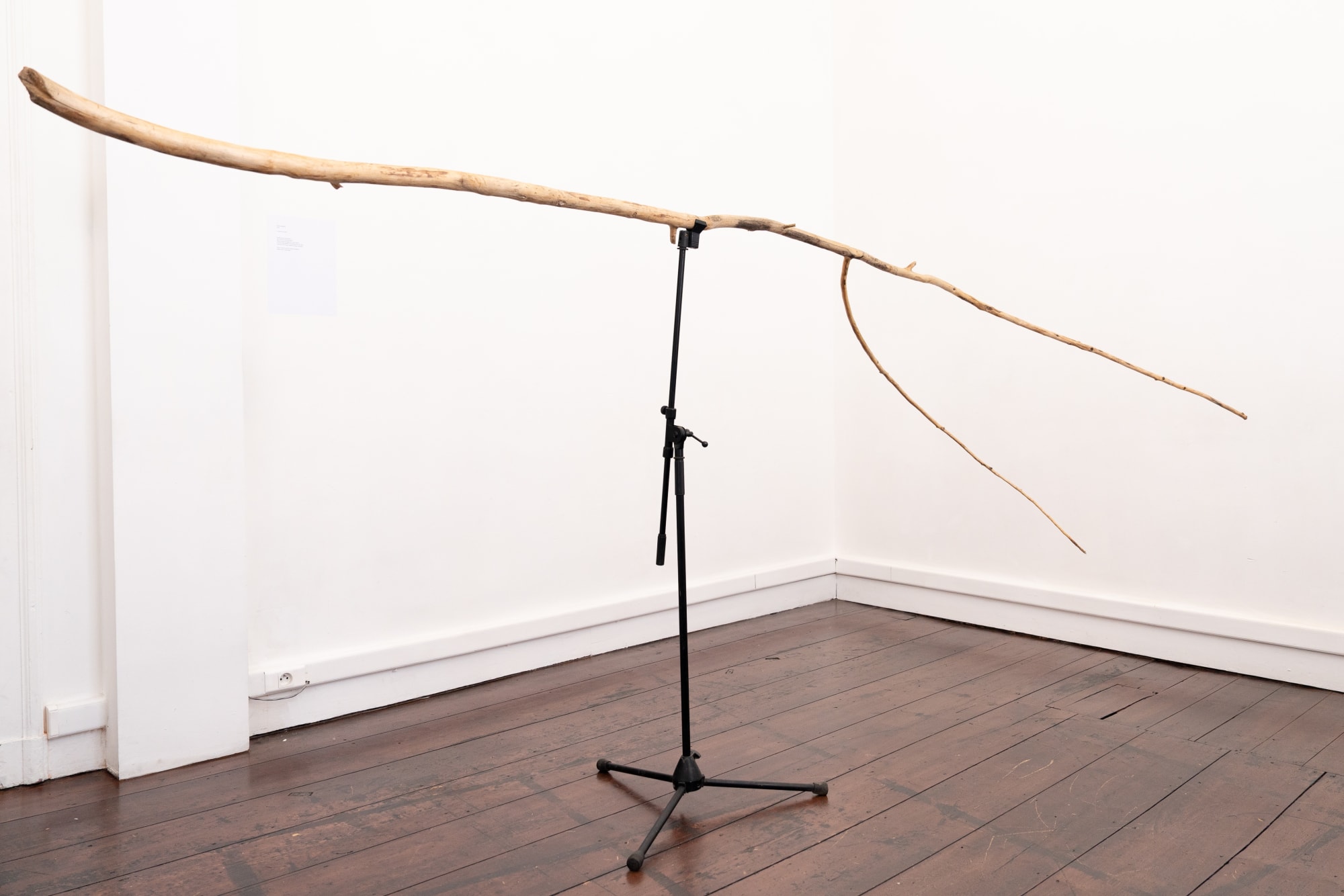Suchan Kinoshita PLATZhalter, 2018 Wood, carpet
