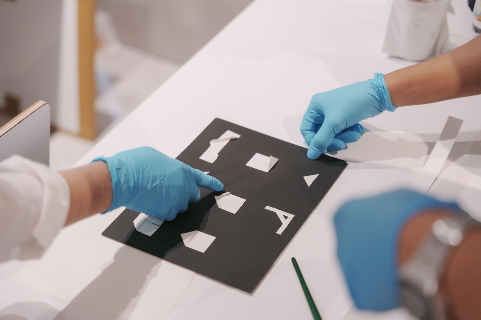 Aesthetic of Conservation