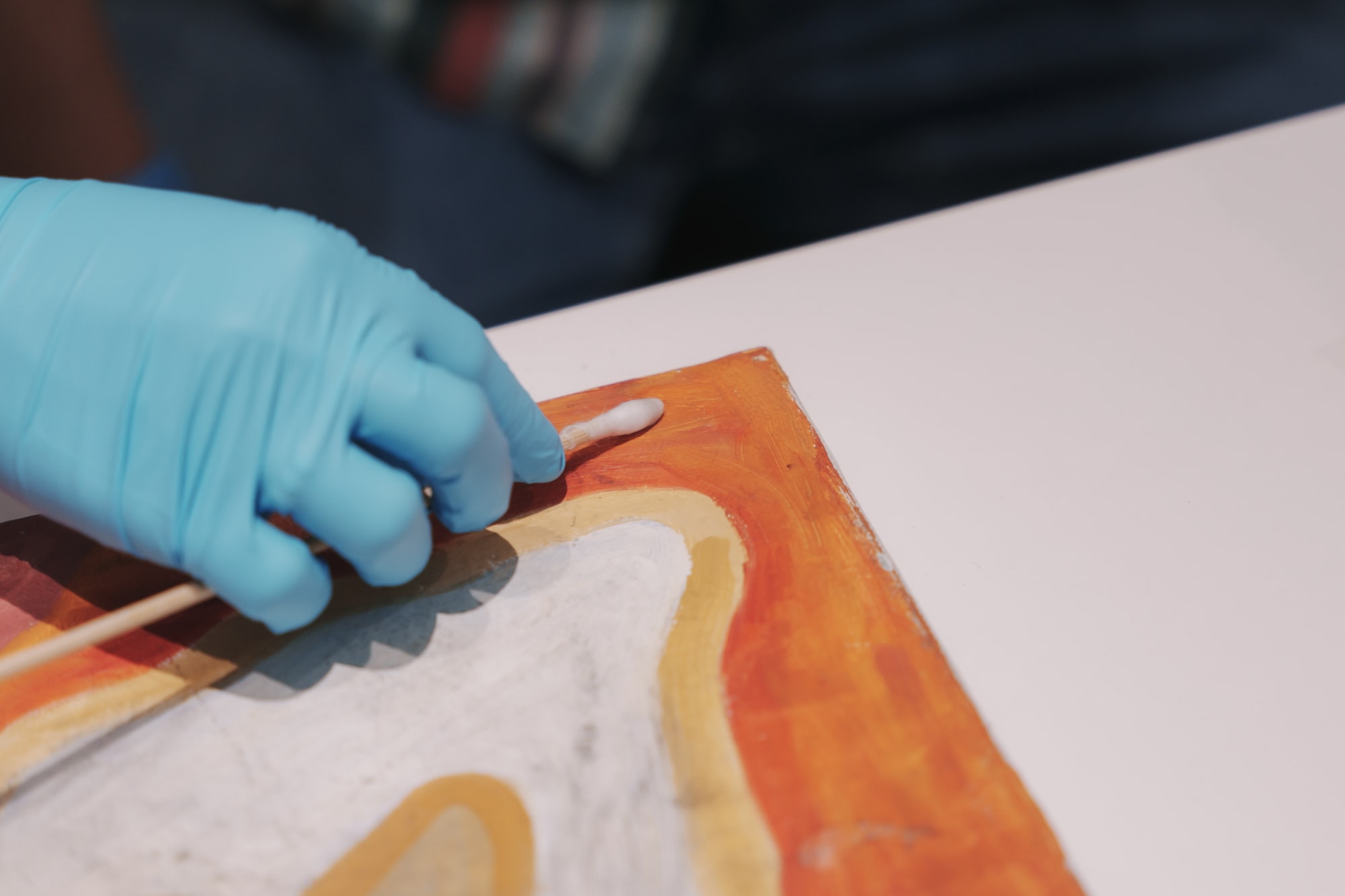 Aesthetic of Conservation