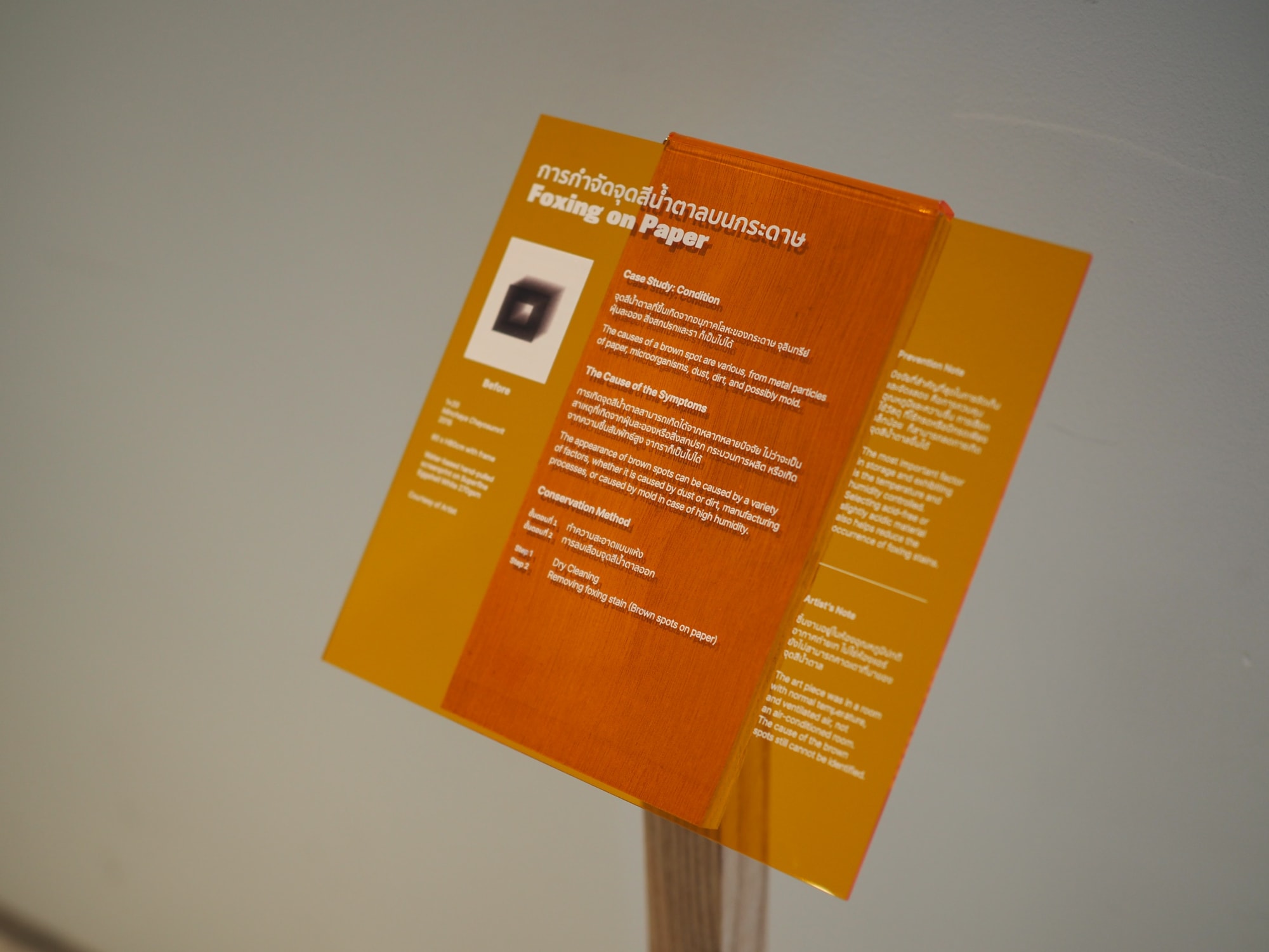 Aesthetic of Conservation