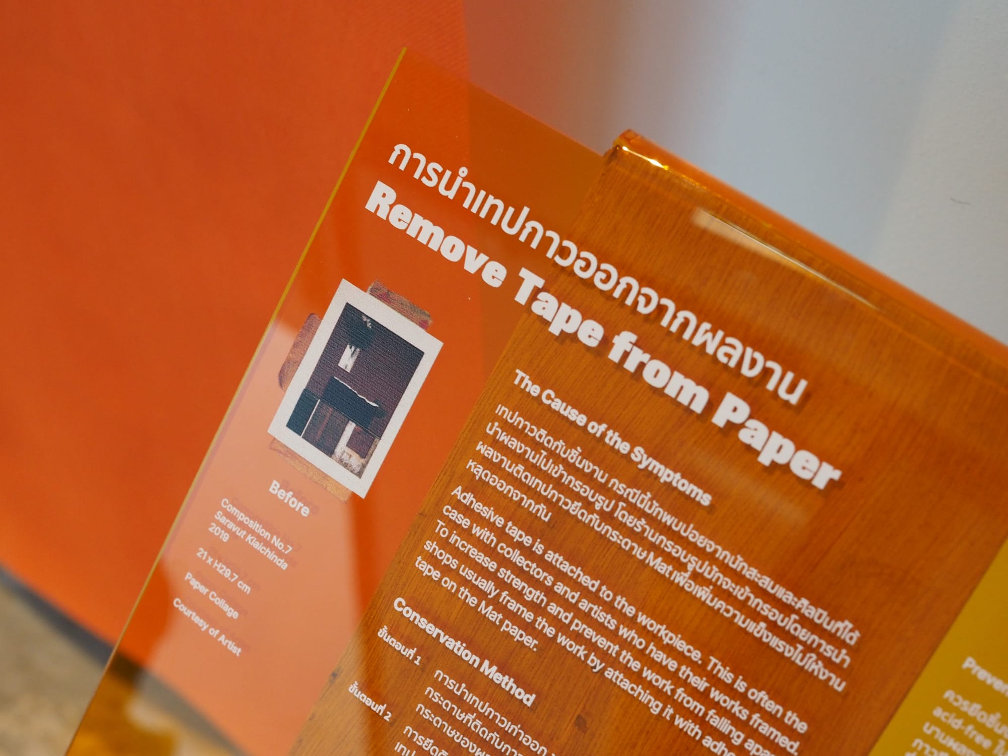 Aesthetic of Conservation