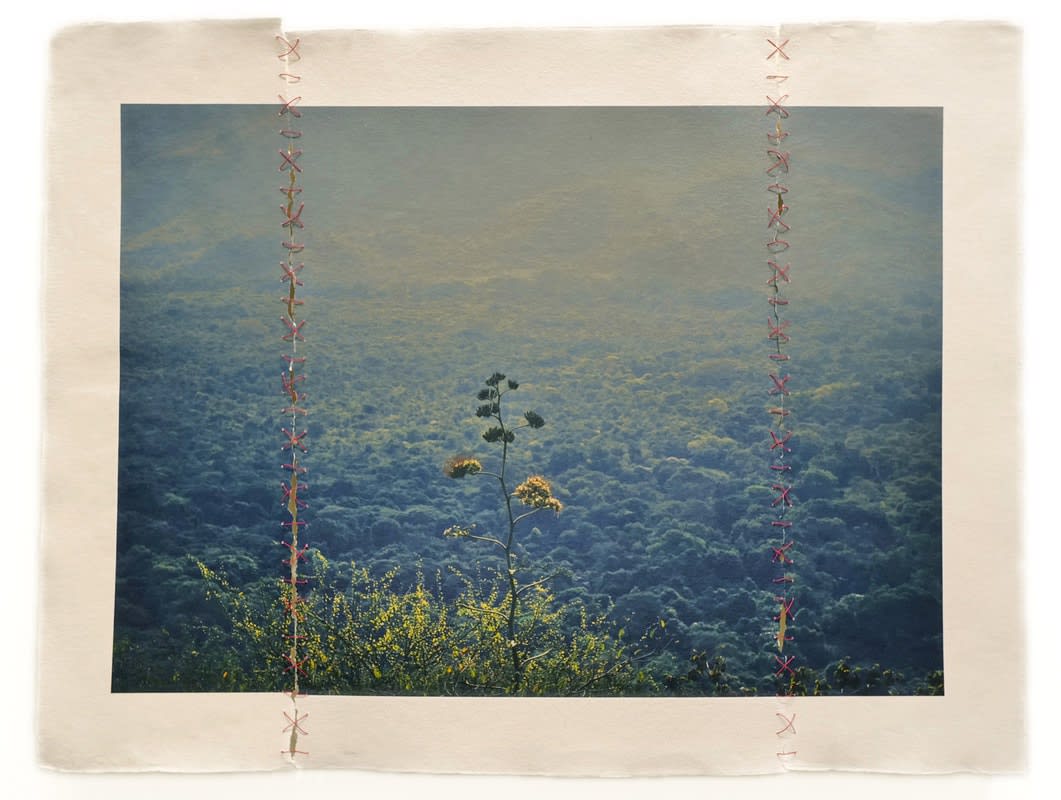 Migeul Soler-Roig: AMESEGËNALLÔ (THANKS)