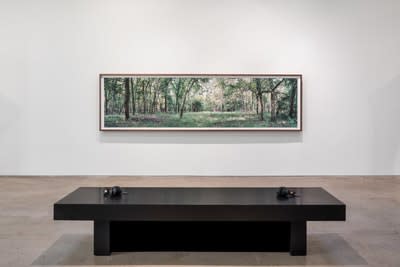 Nancy O'Connor: Out of the Darkness and into the Marvelous