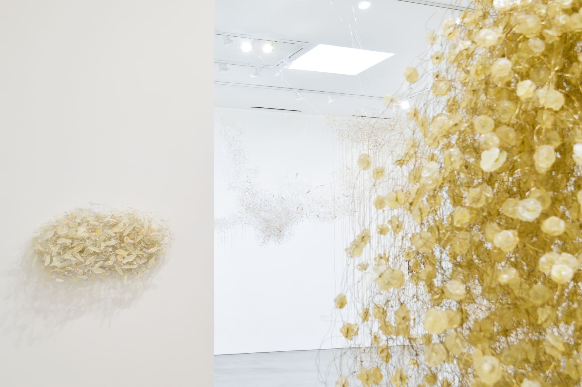 Yuriko Yamaguchi: The Trees are Humming