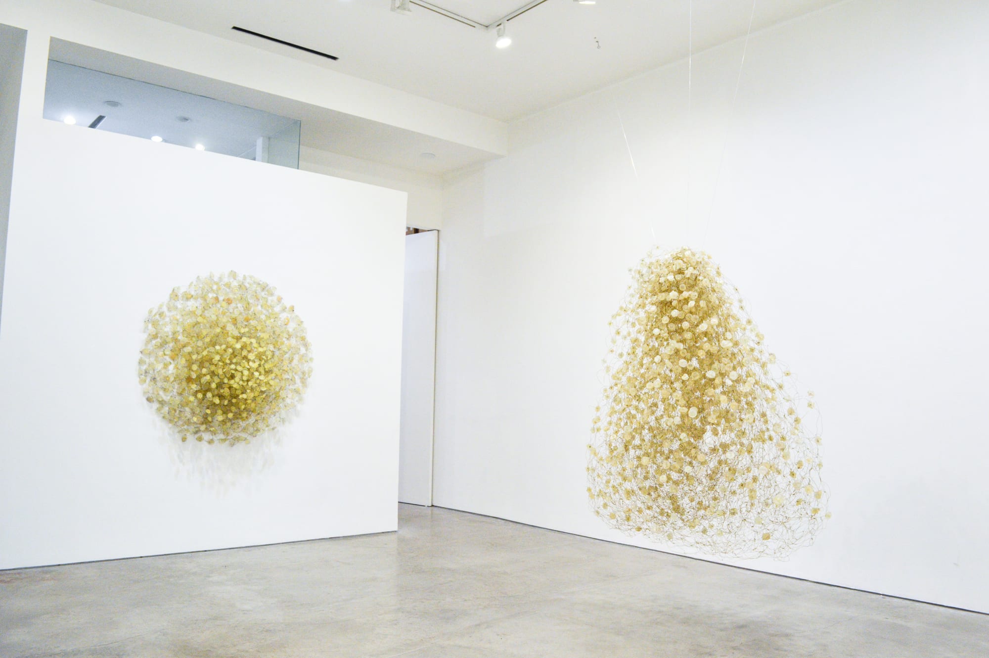 Yuriko Yamaguchi: The Trees are Humming