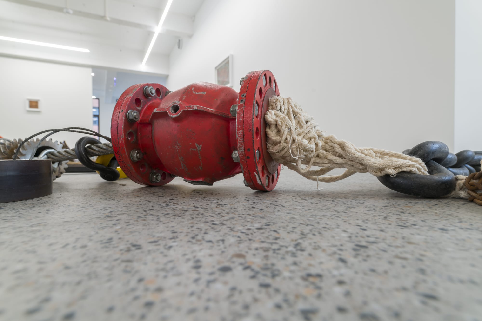 Maarten Vanden Eynde