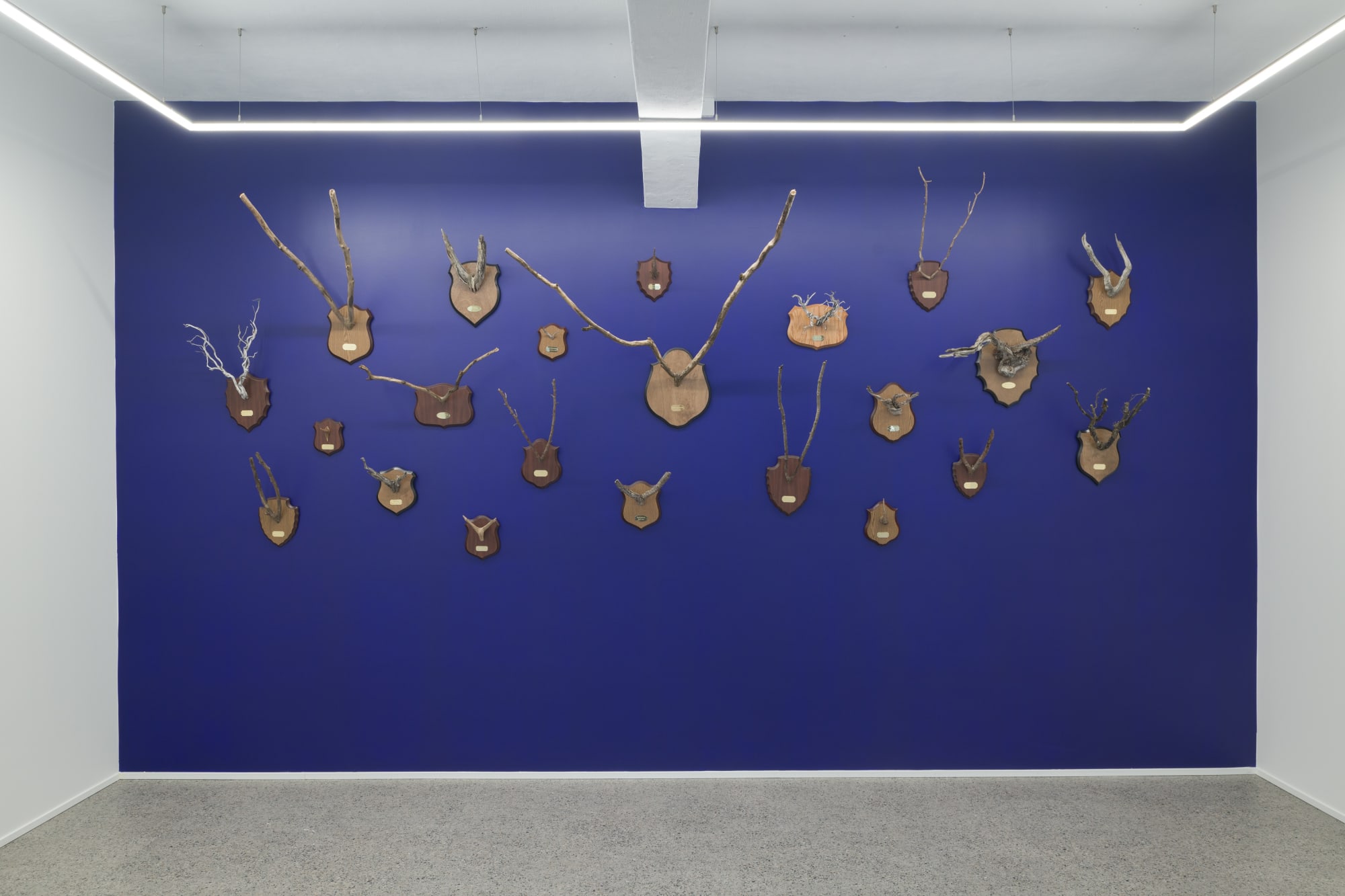 Maarten Vanden Eynde