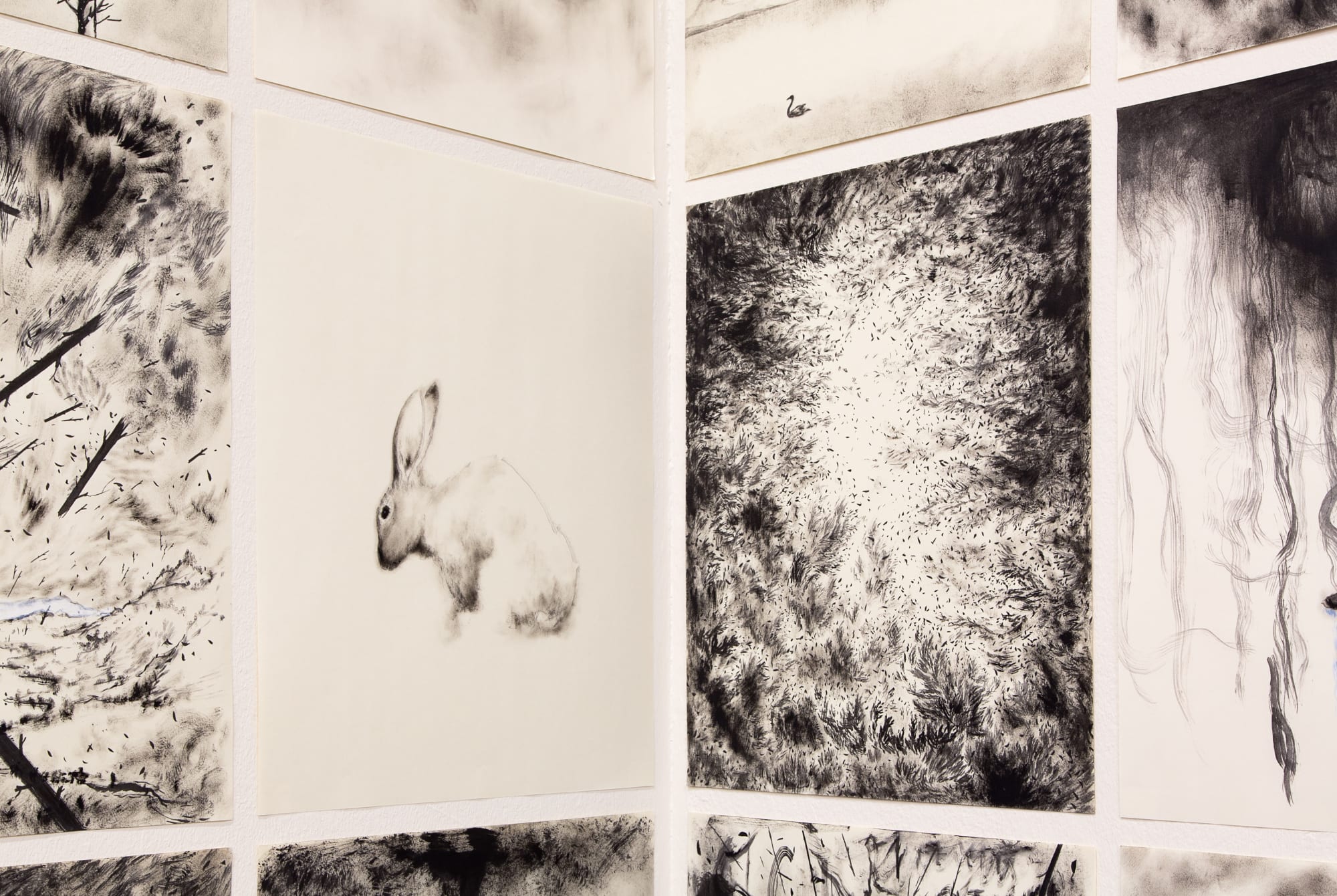 CENTRE D’ART CONTEMPORAIN, CAC, GENEVA, SWITZERLAND