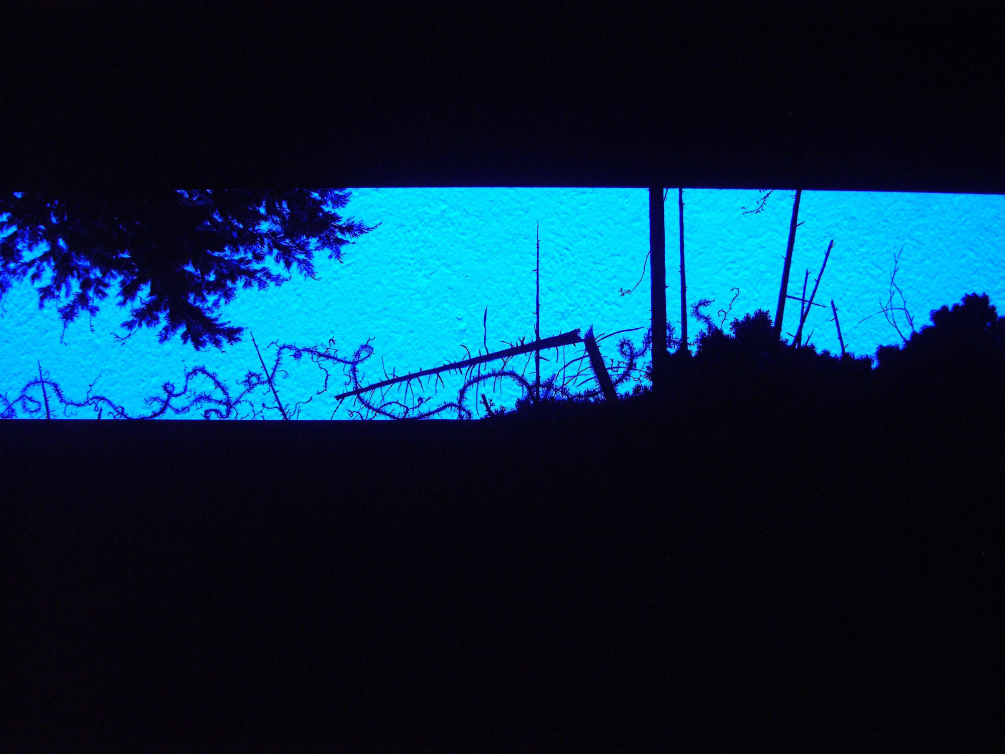 RATH MUSEUM, GENEVA, SWITZERLAND