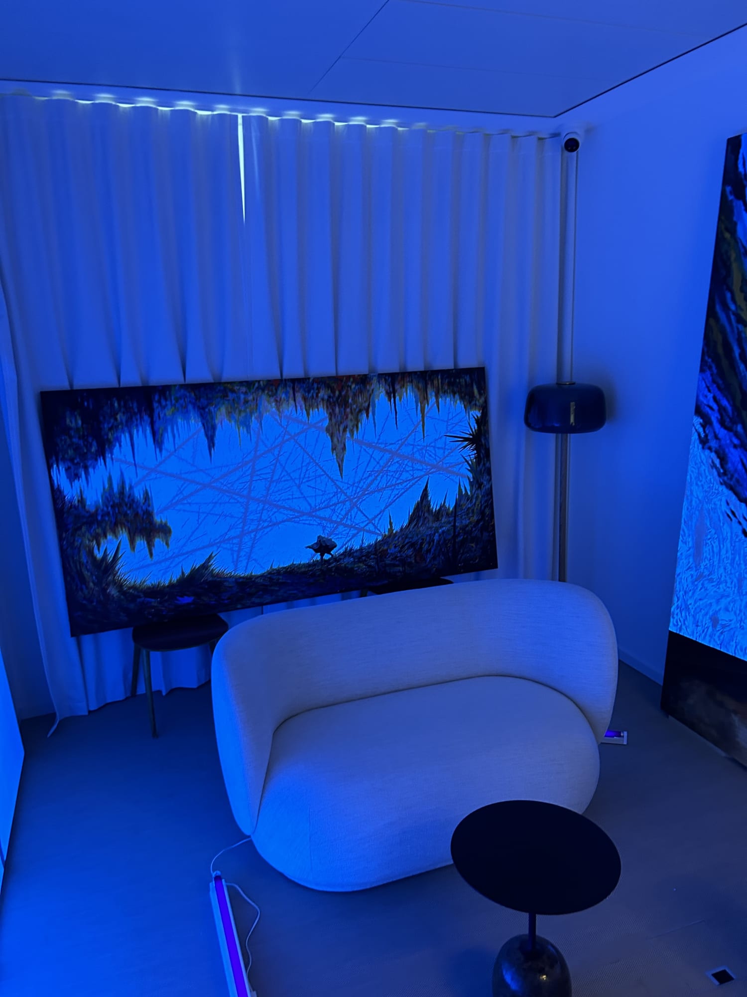 PHILLIPS, SOLO SHOW ERIC ERISTON WINARTO, GENEVA, SWITZERLAND, DIRECTOR NATHALIE MONBARON