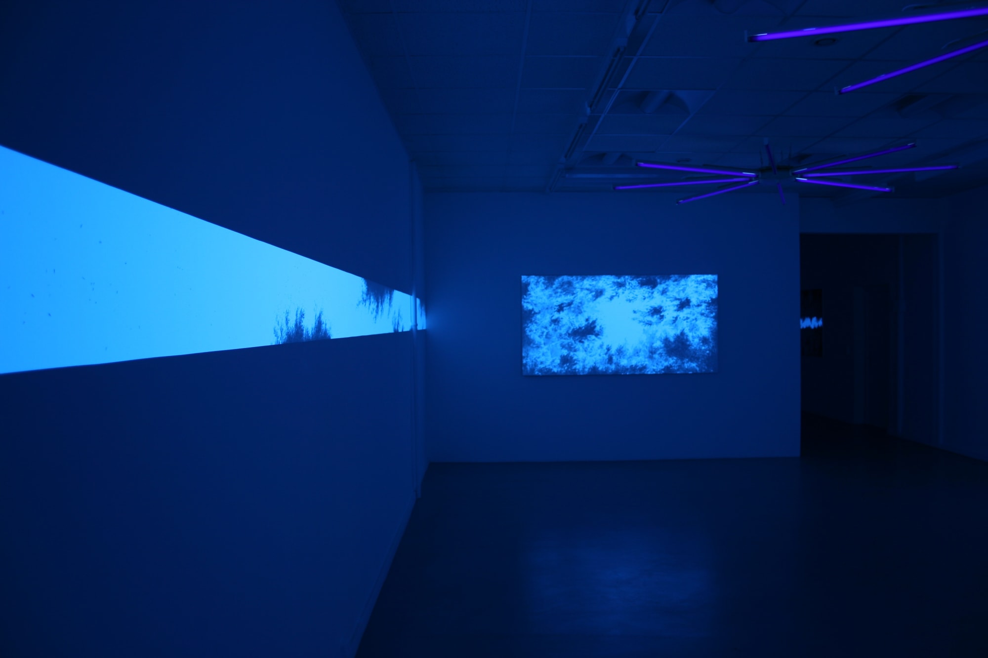 CHARLOTTE MOSER GALLERY, GENEVA, SWITZERLAND