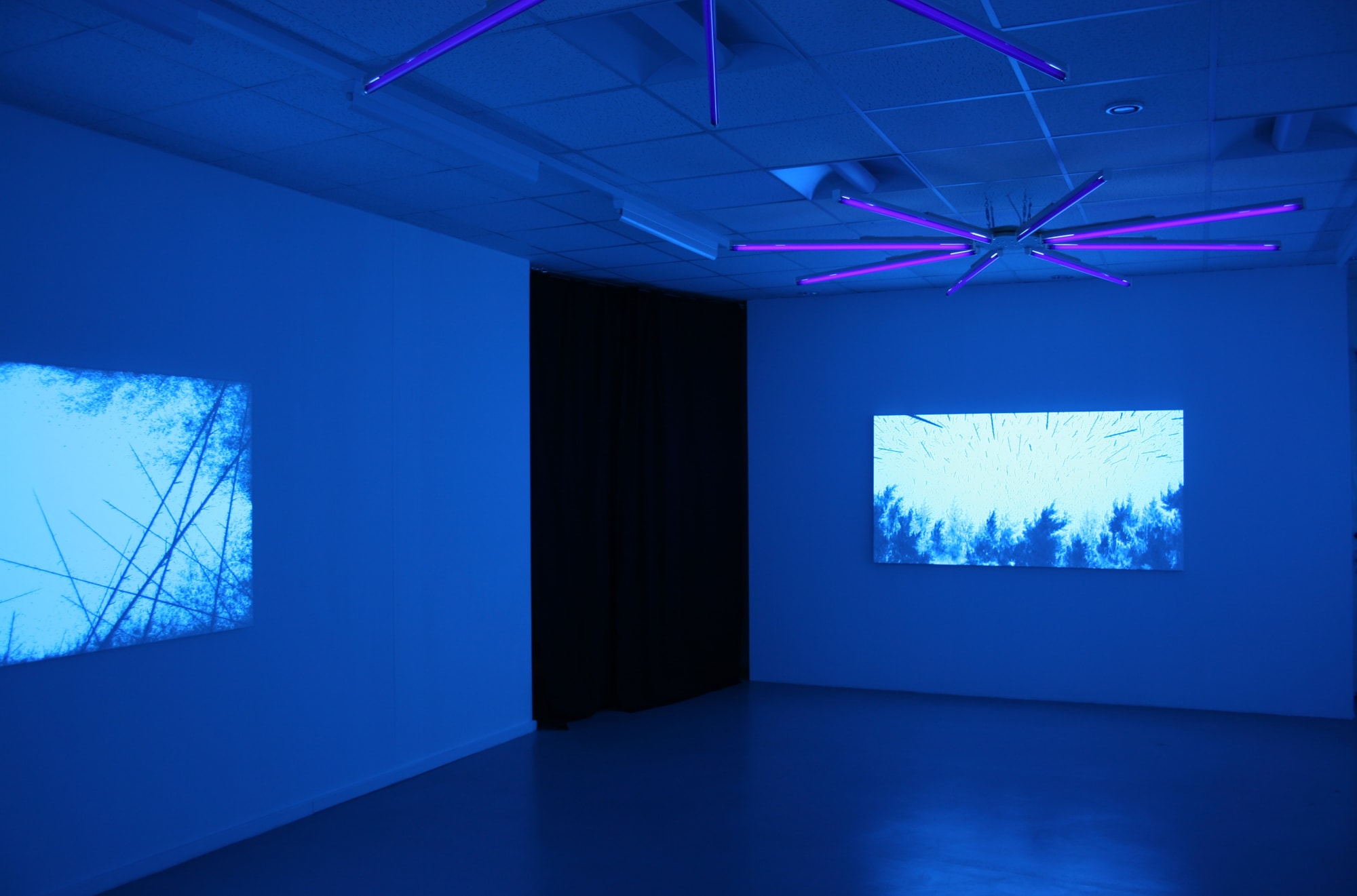 CHARLOTTE MOSER GALLERY, GENEVA, SWITZERLAND