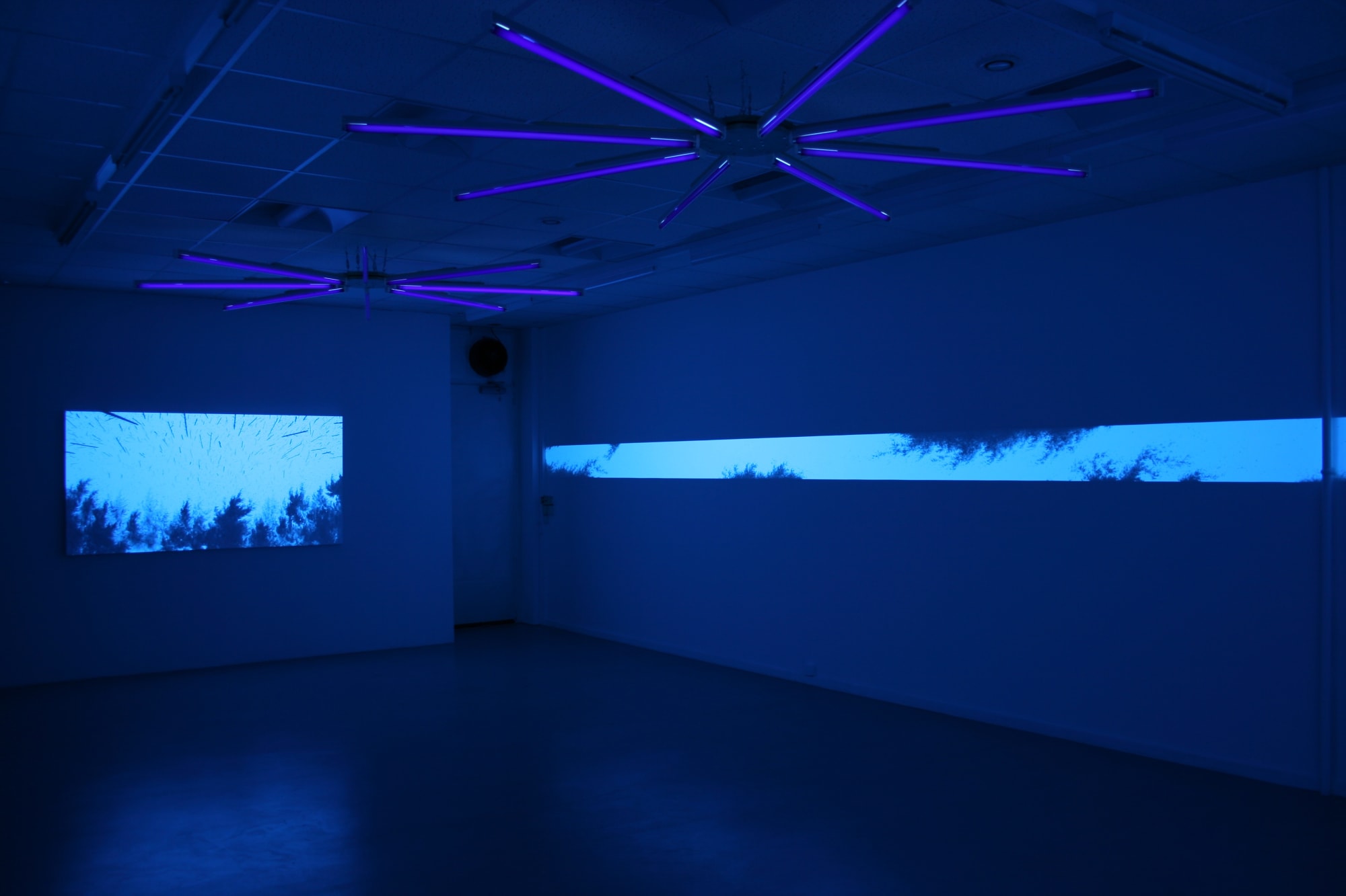 CHARLOTTE MOSER GALLERY, GENEVA, SWITZERLAND