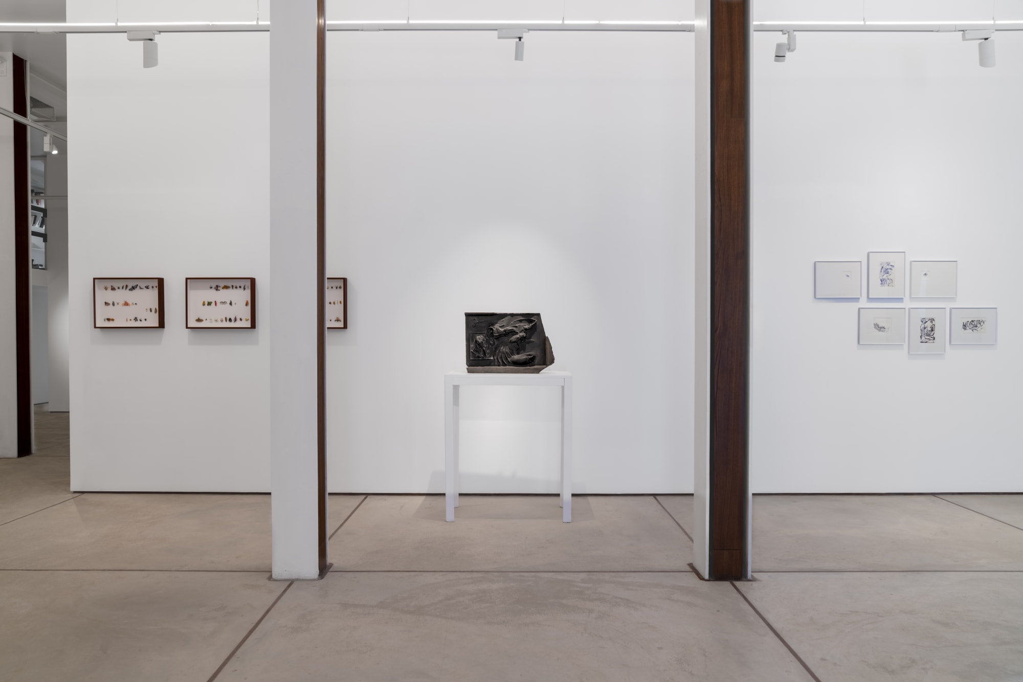 Ephemeroptera: Time After Time: Tarq and Gallery XXL