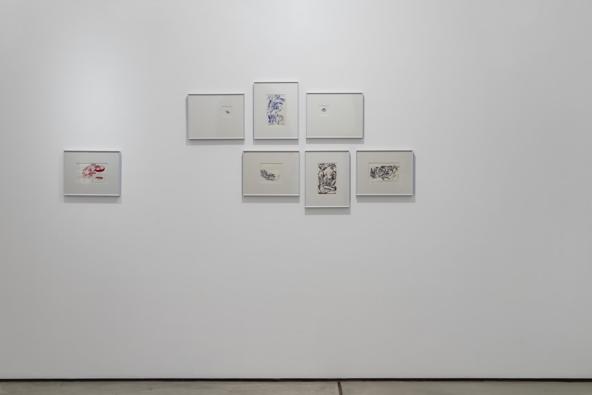 Ephemeroptera: Time After Time: Tarq and Gallery XXL