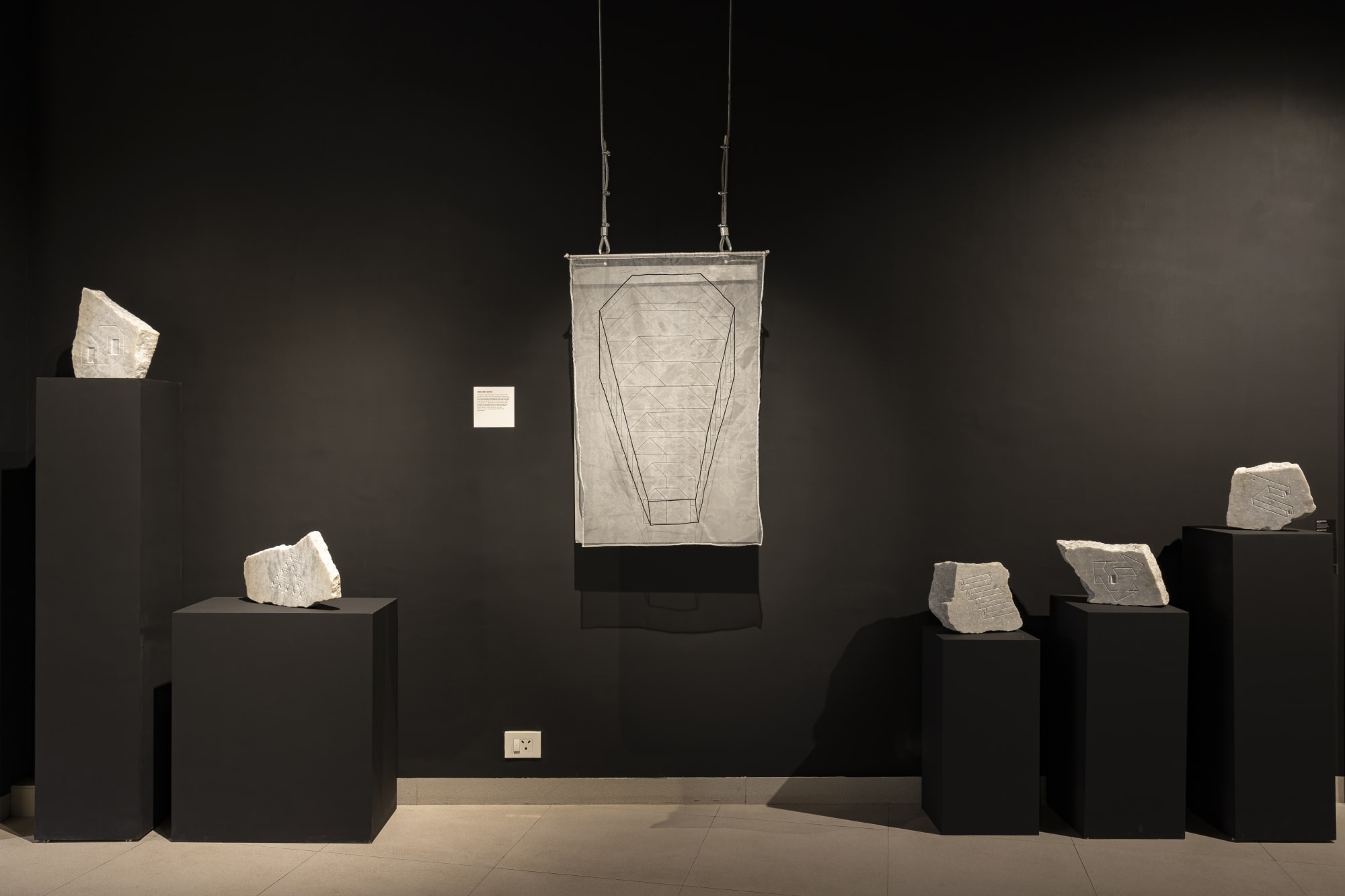 Witness and Evidence