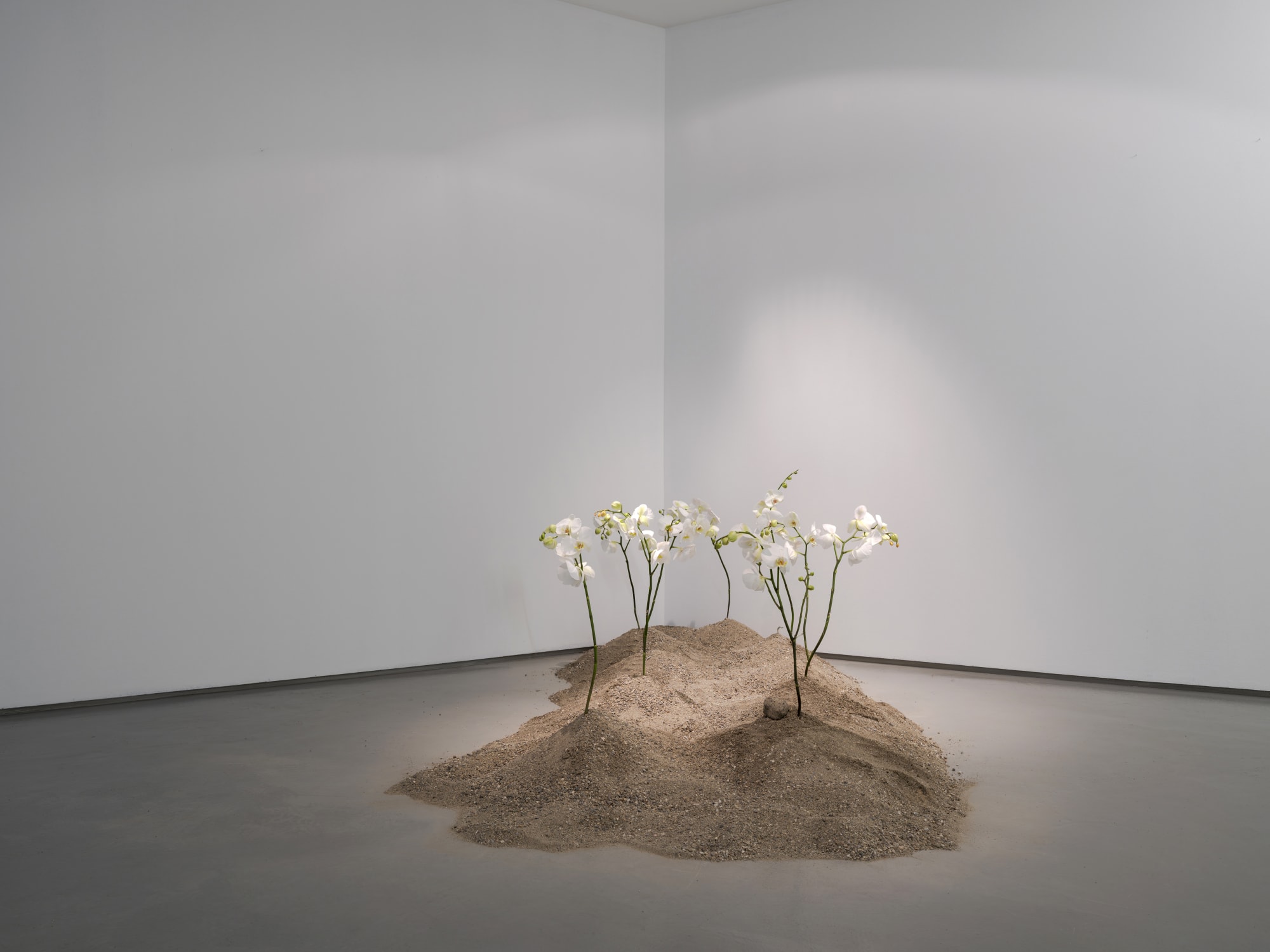 Deniz Pasha, Solukdaş sergisinden görünüm, BüroSarıgedik, 2025. Photo Credit: Kayhan Kaygusuz