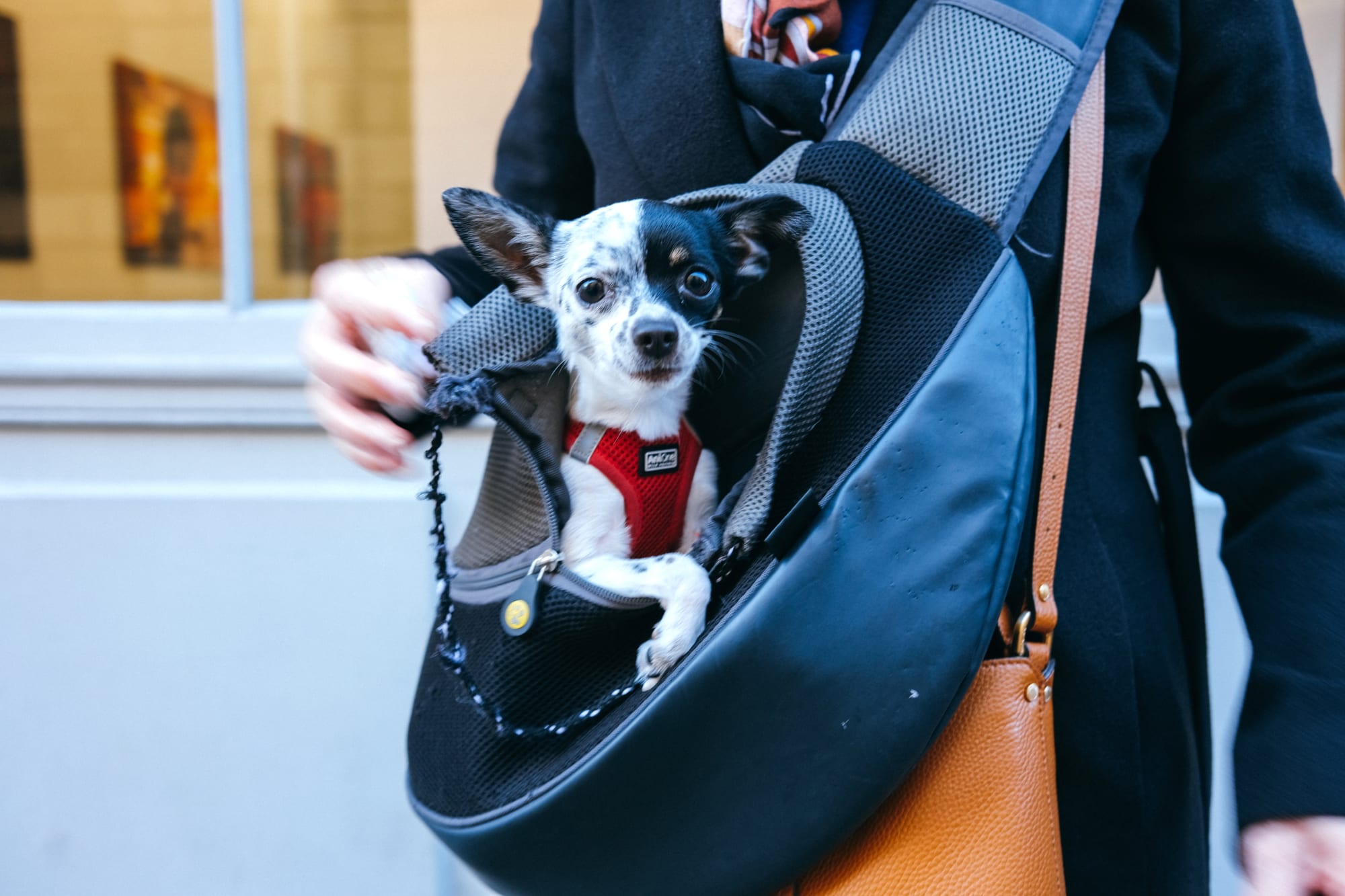 Speerstra Gallery Paris présente "Crapule Club" regards croisés sur la photographie argentique